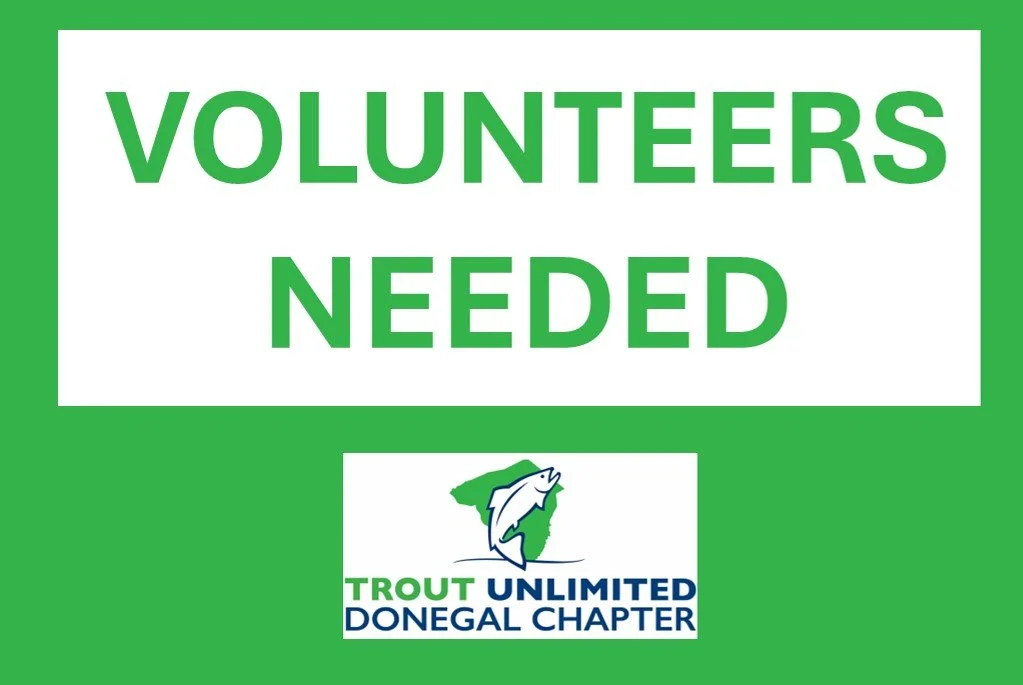 Volunteers Needed: DTU Nursey Opening