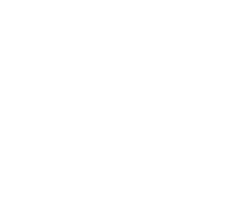 SOLAR SYSTEM ERECTORS