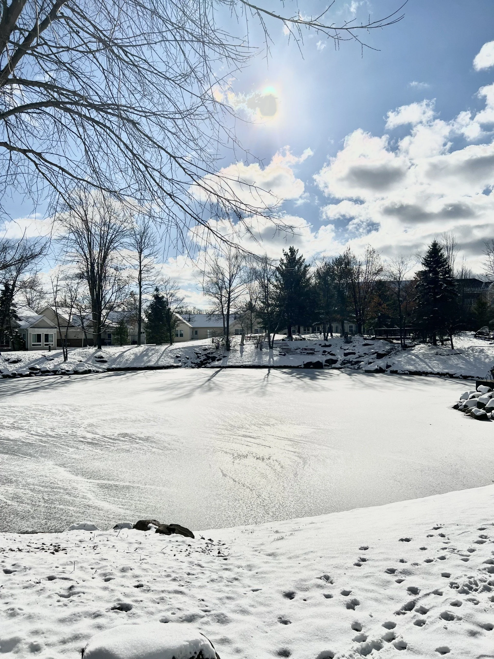 Pond with snow.jpg