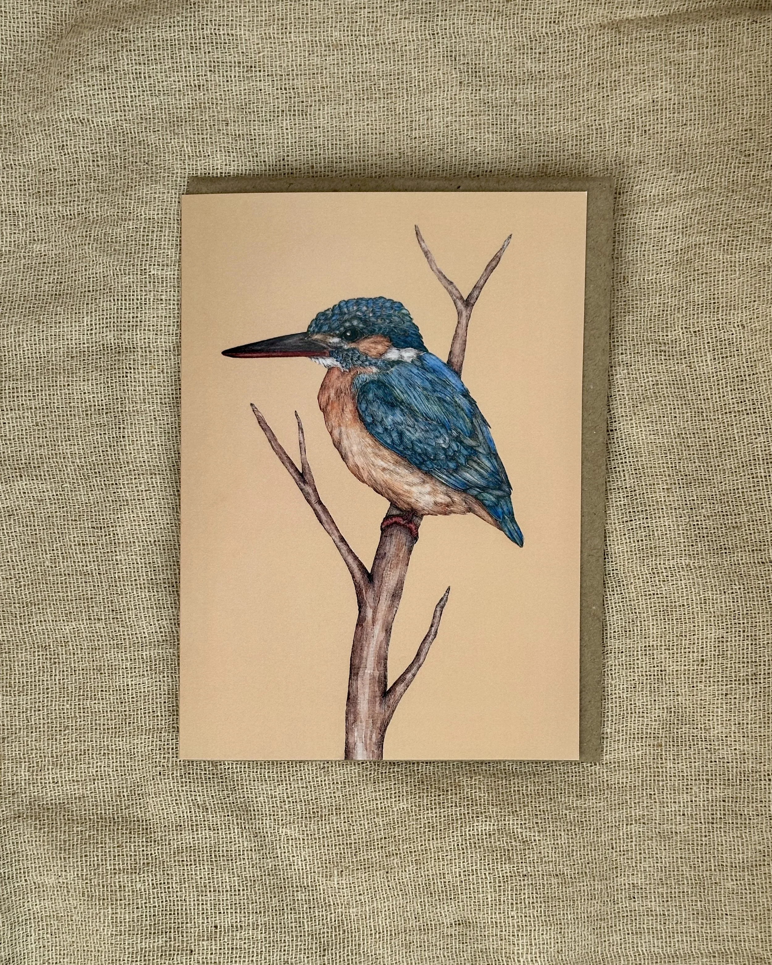 Dipper and Kingfisher