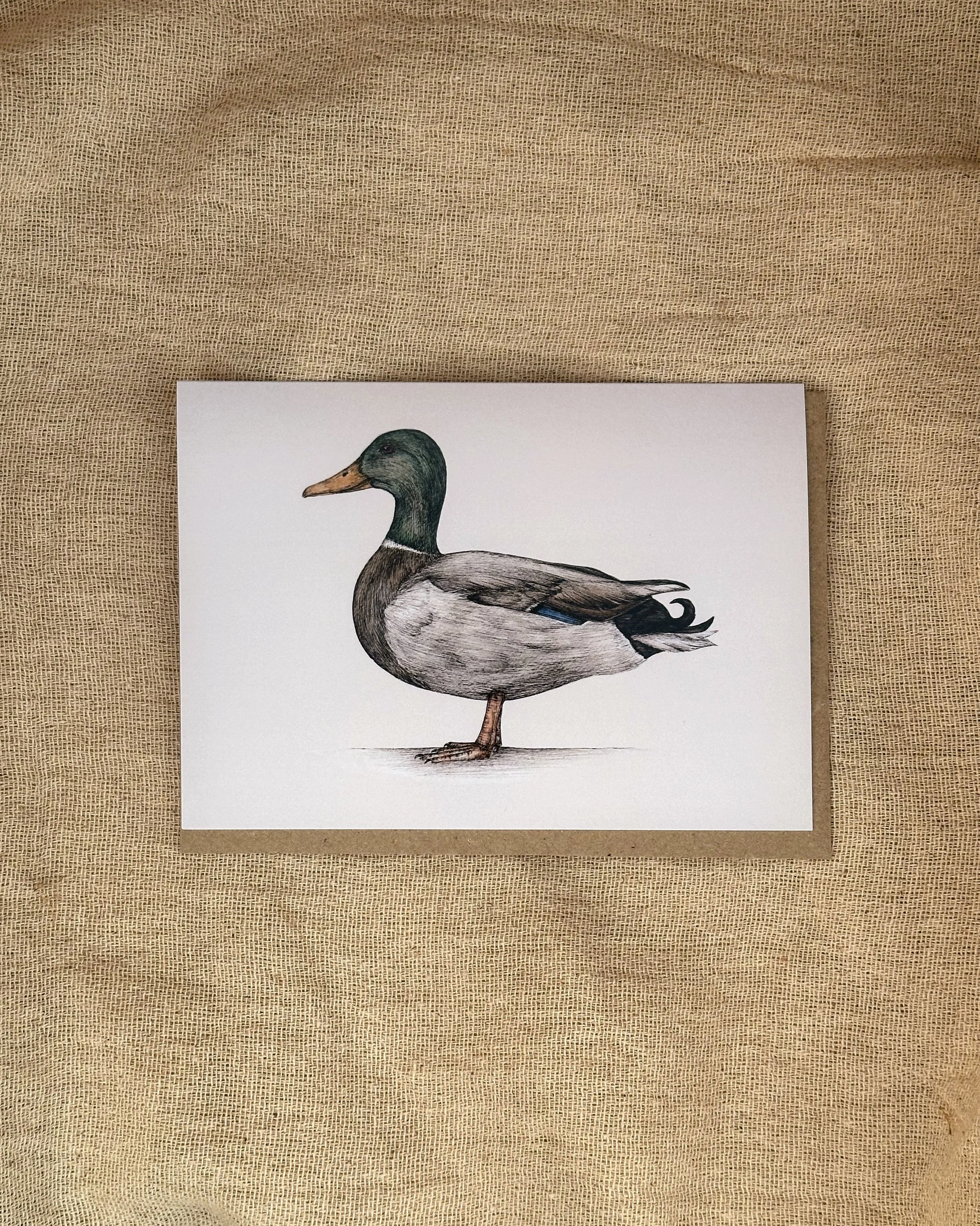m mallard cards.JPG