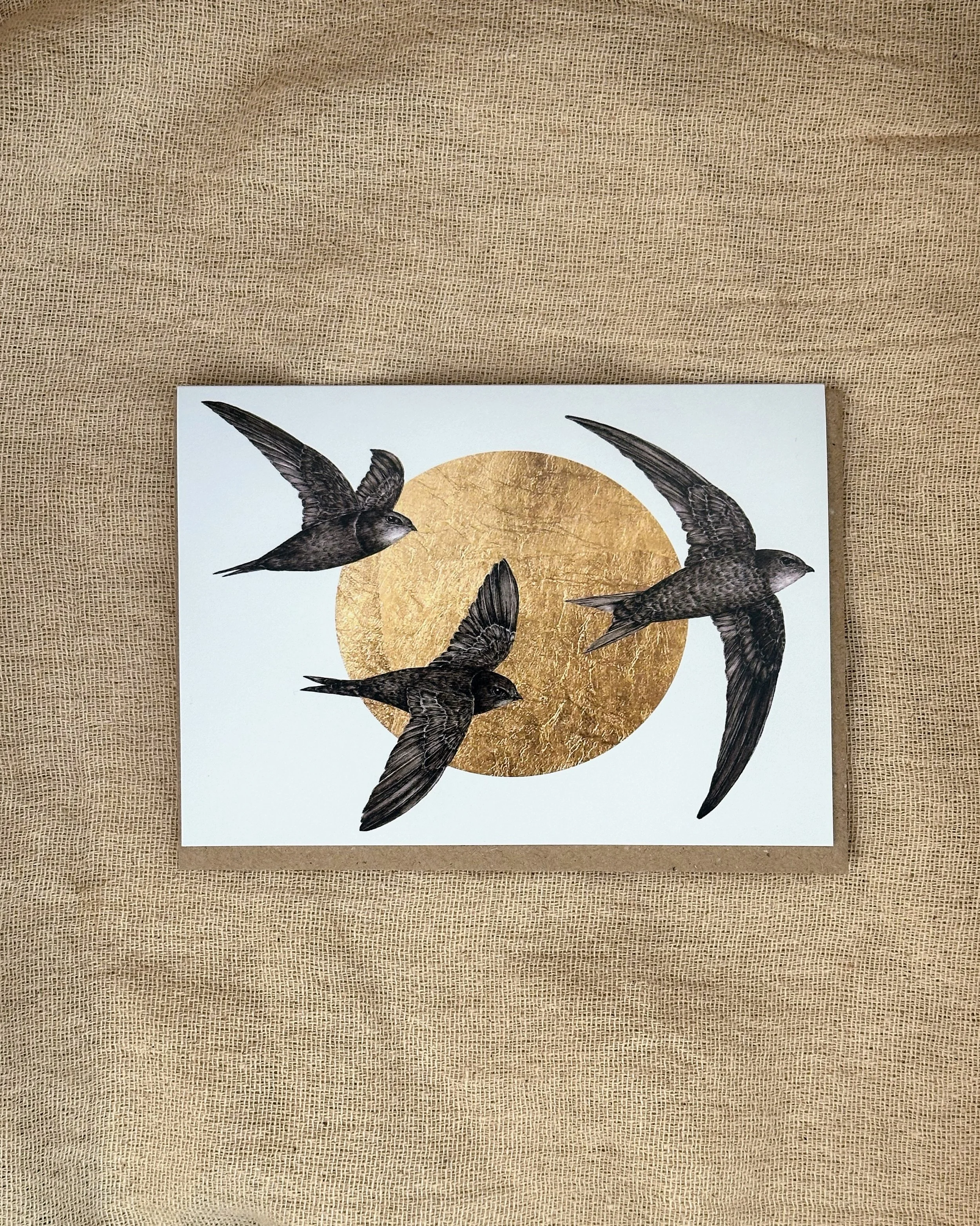 Three Swifts