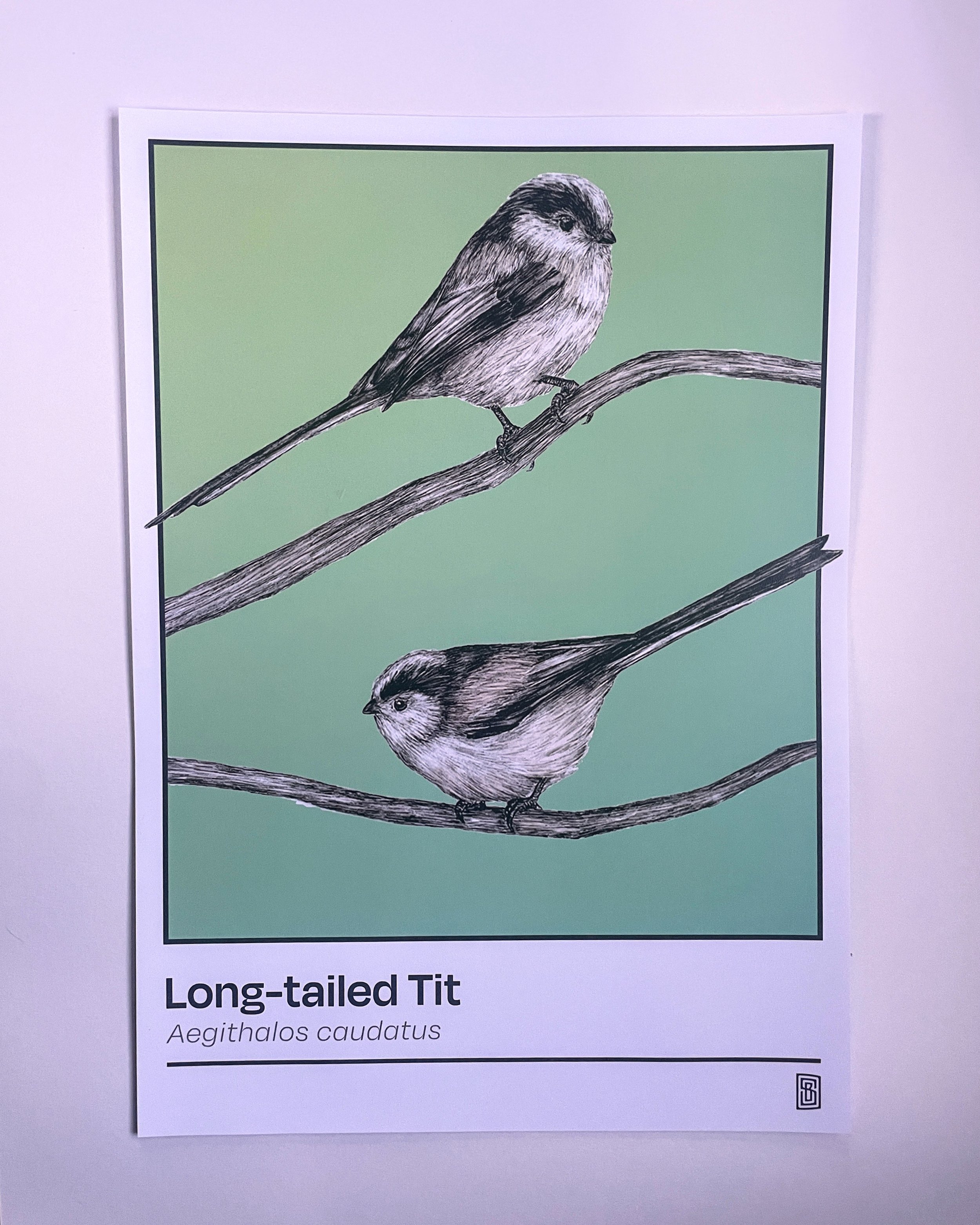 long-tail a3 poster.jpeg