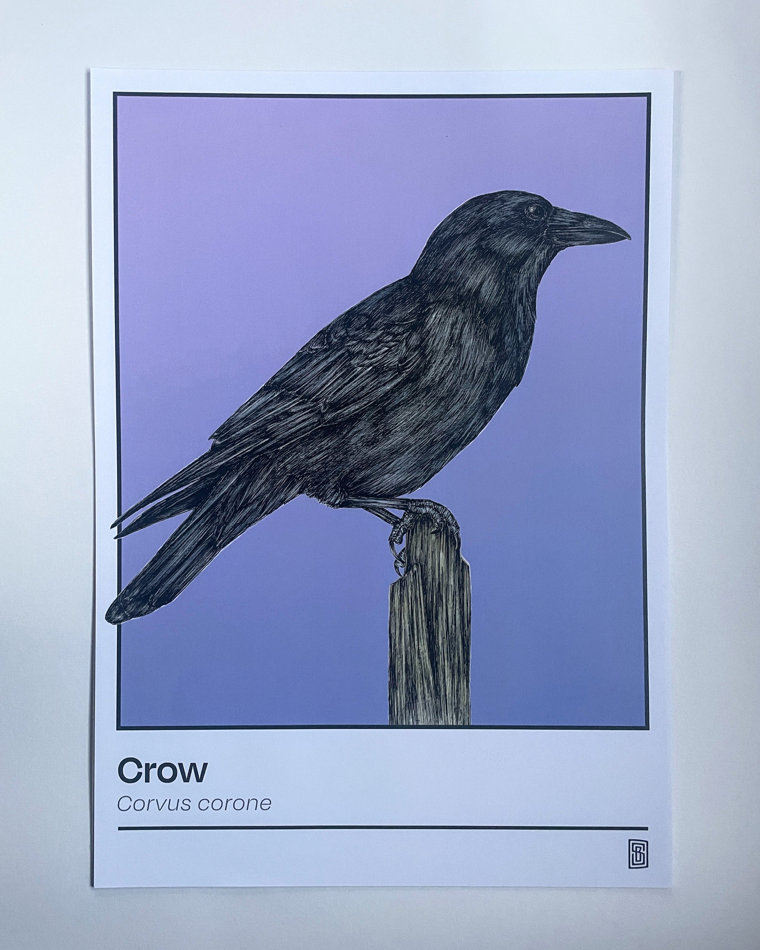 crow a3 poster.jpeg