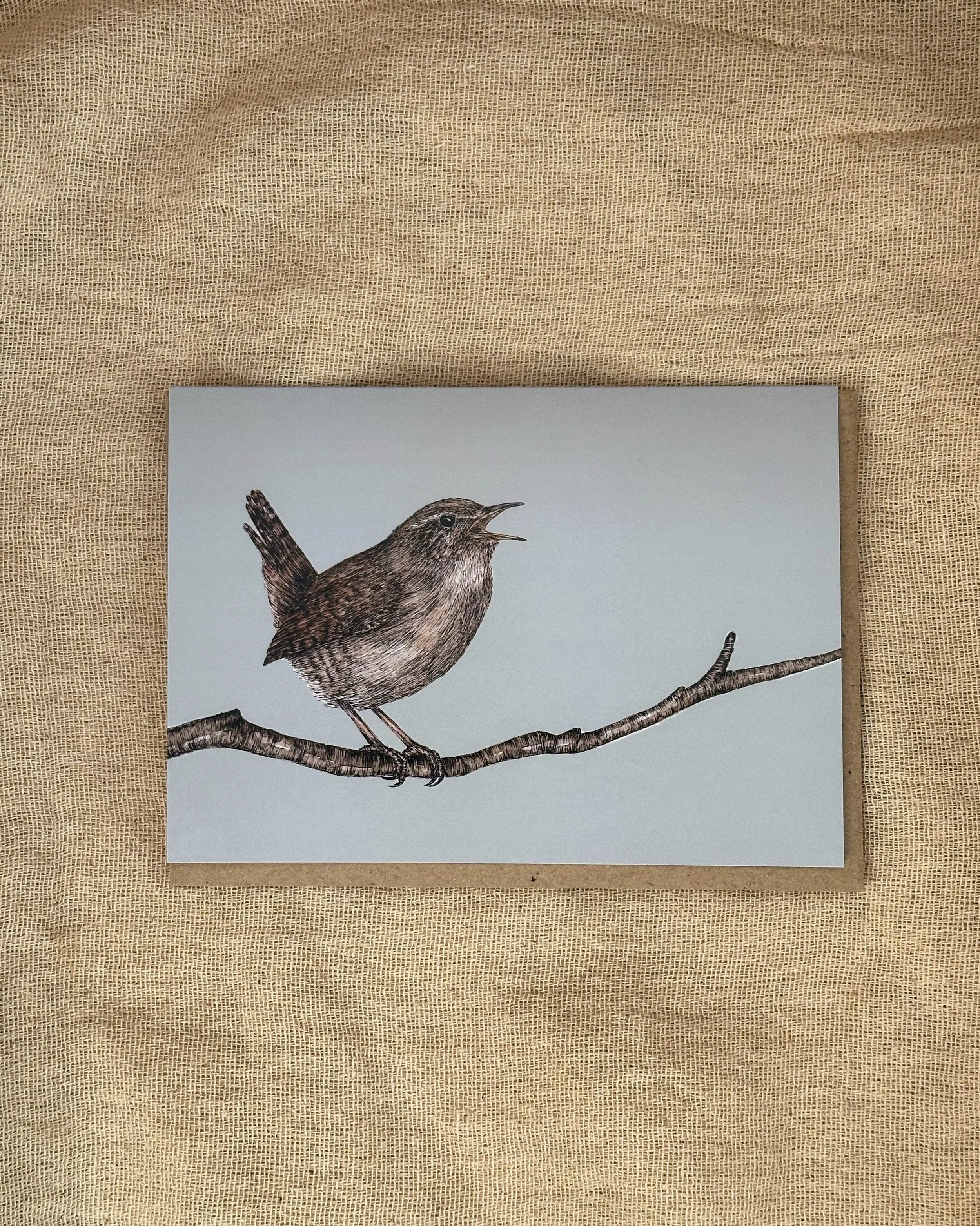 Singing Wren