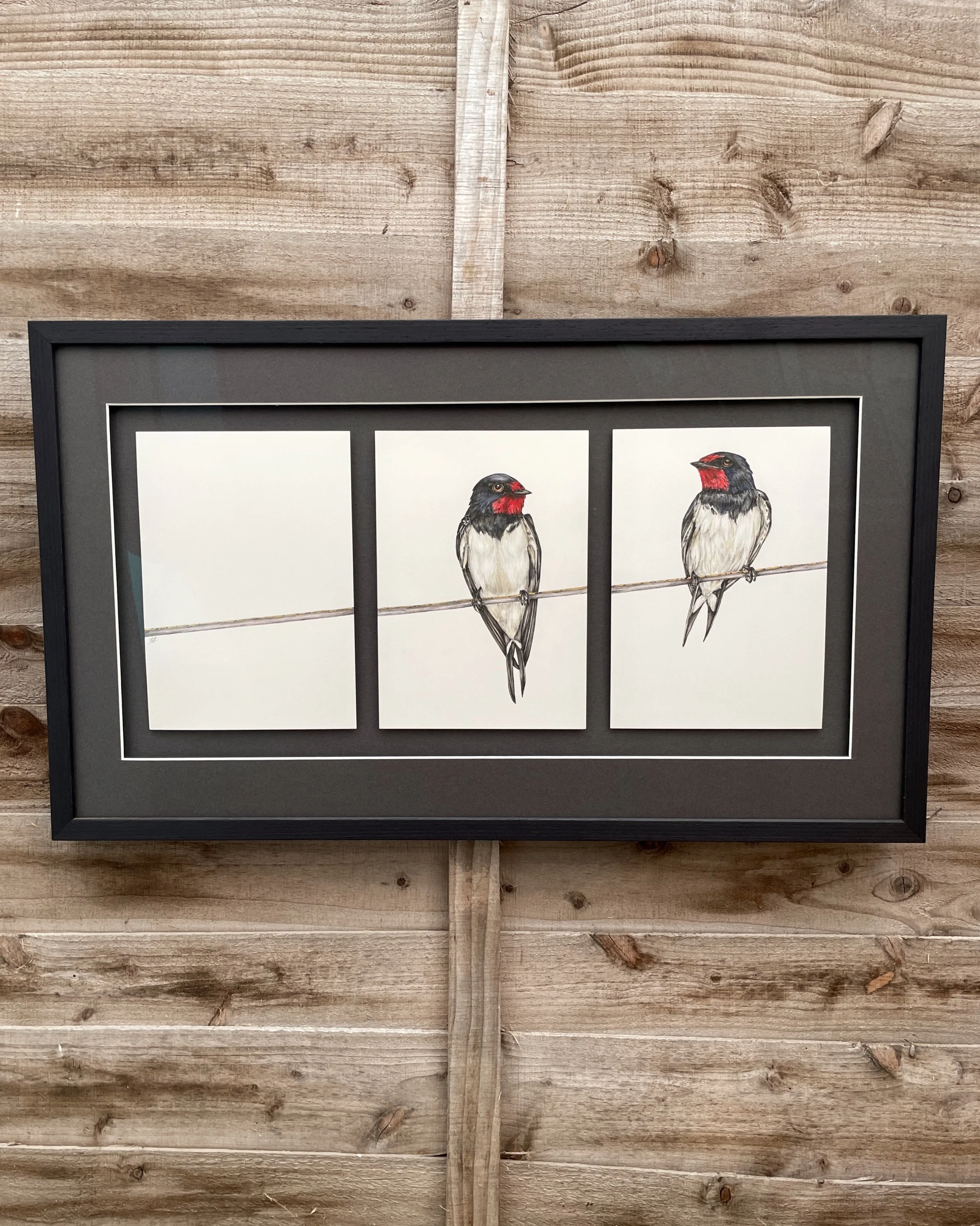 Two Swallows