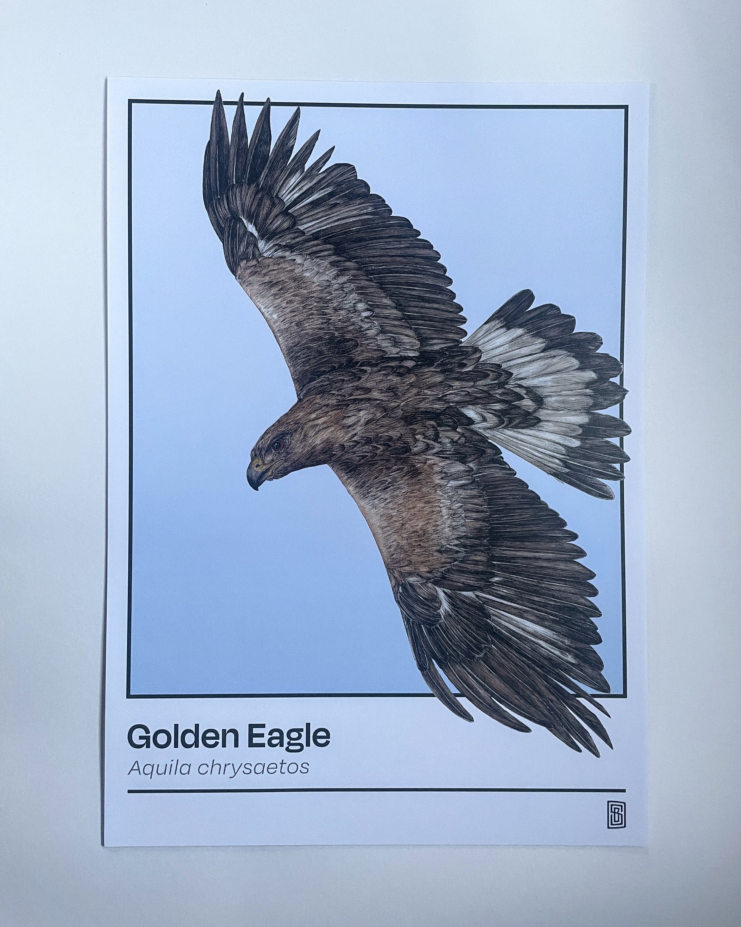 golden eagle a3 poster.jpeg
