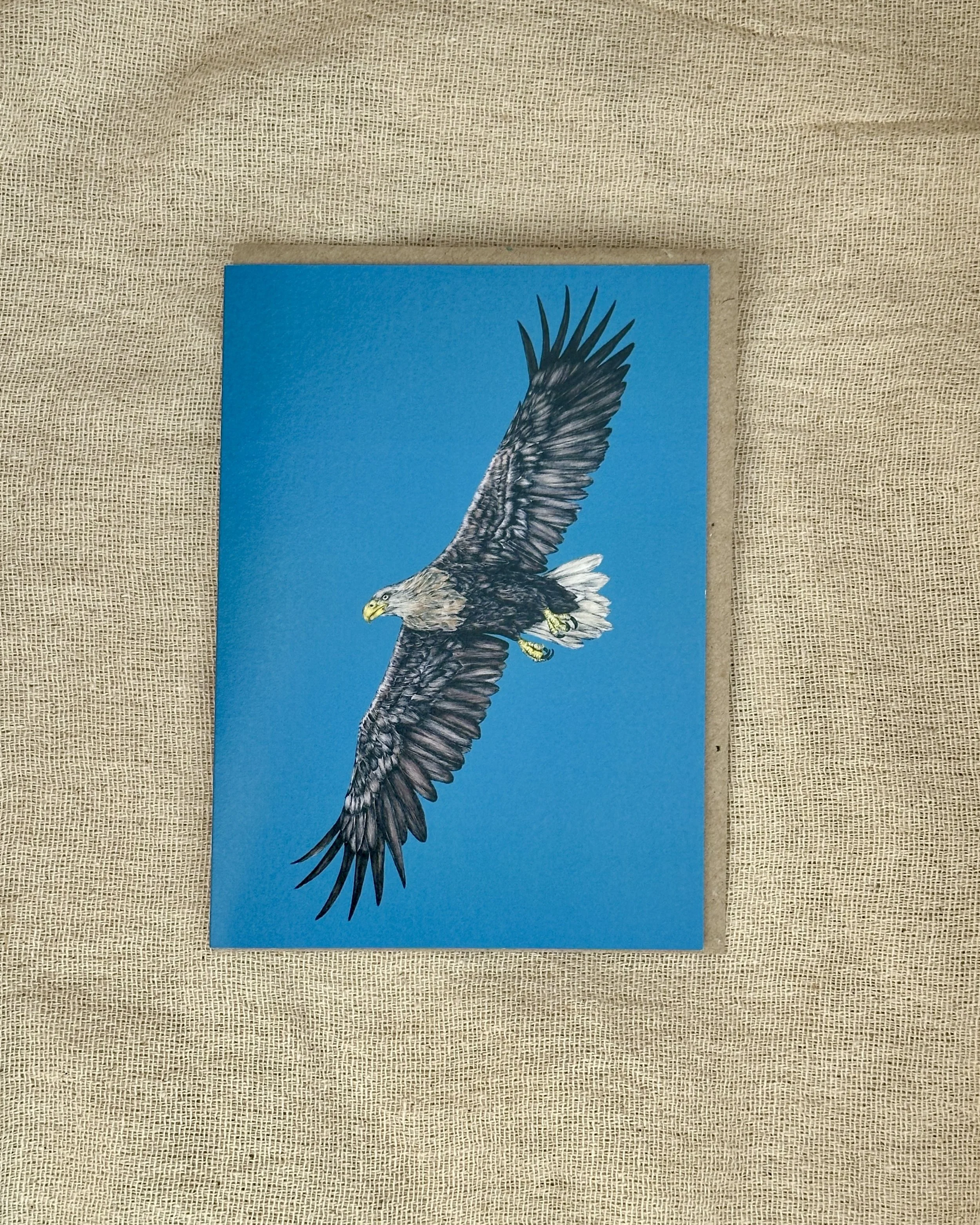 sea eagle cards.JPG