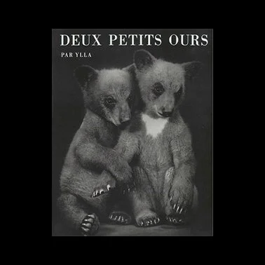 DEUX  PETITS OURS - Ylla
