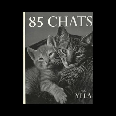 85 CHATS - Ylla