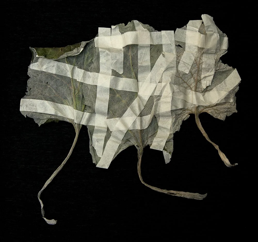 Dried leaves taped together with white masking tape, dark background.