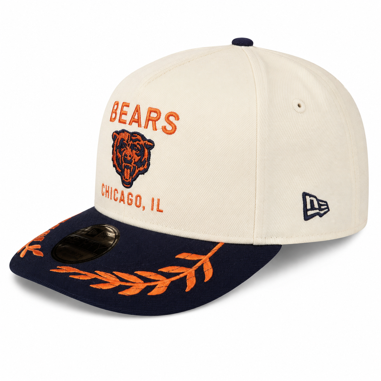 Chicago Bears cap on white background(1).png