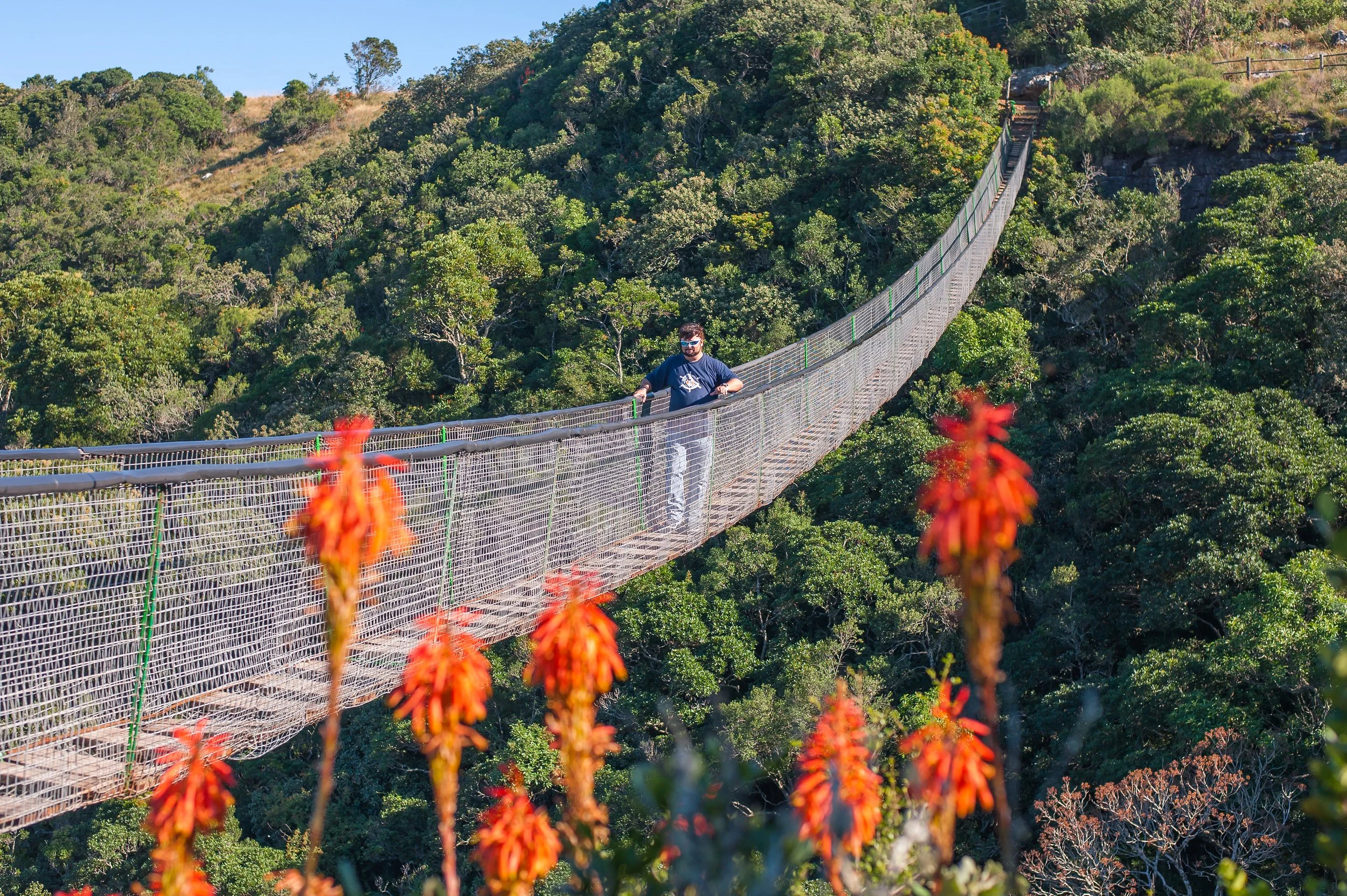 Suspension Bridge and View Sites — Lake Eland