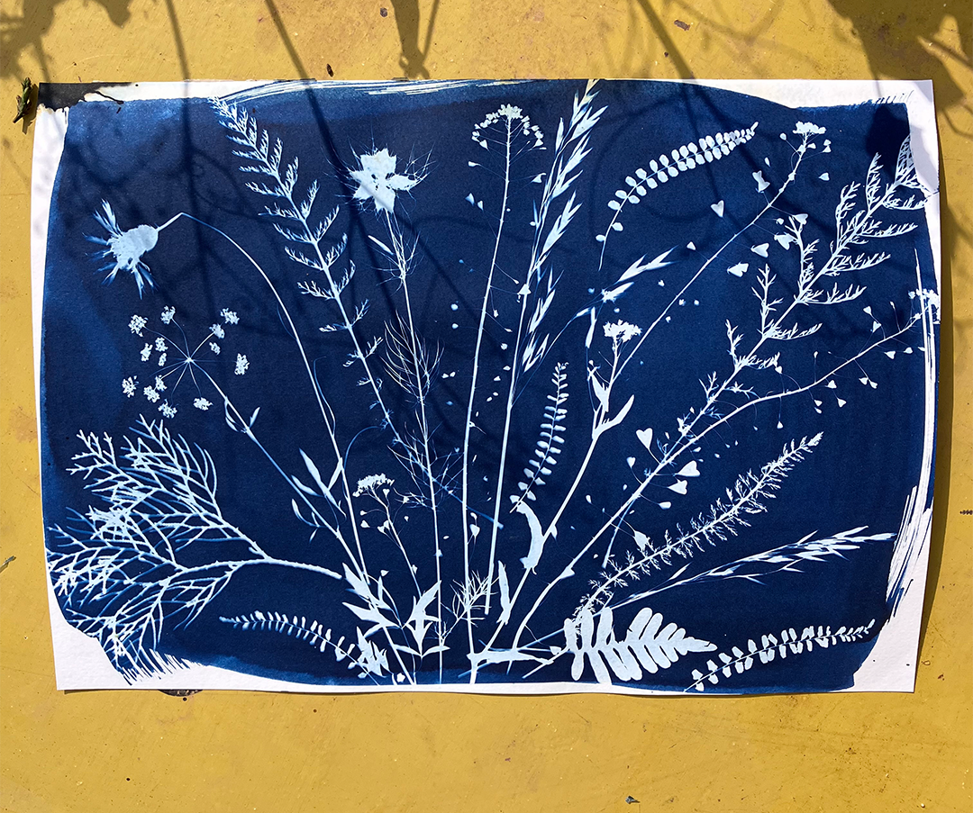 Ateliers de l'été : Qi Gong du feu & Cyanotypes
