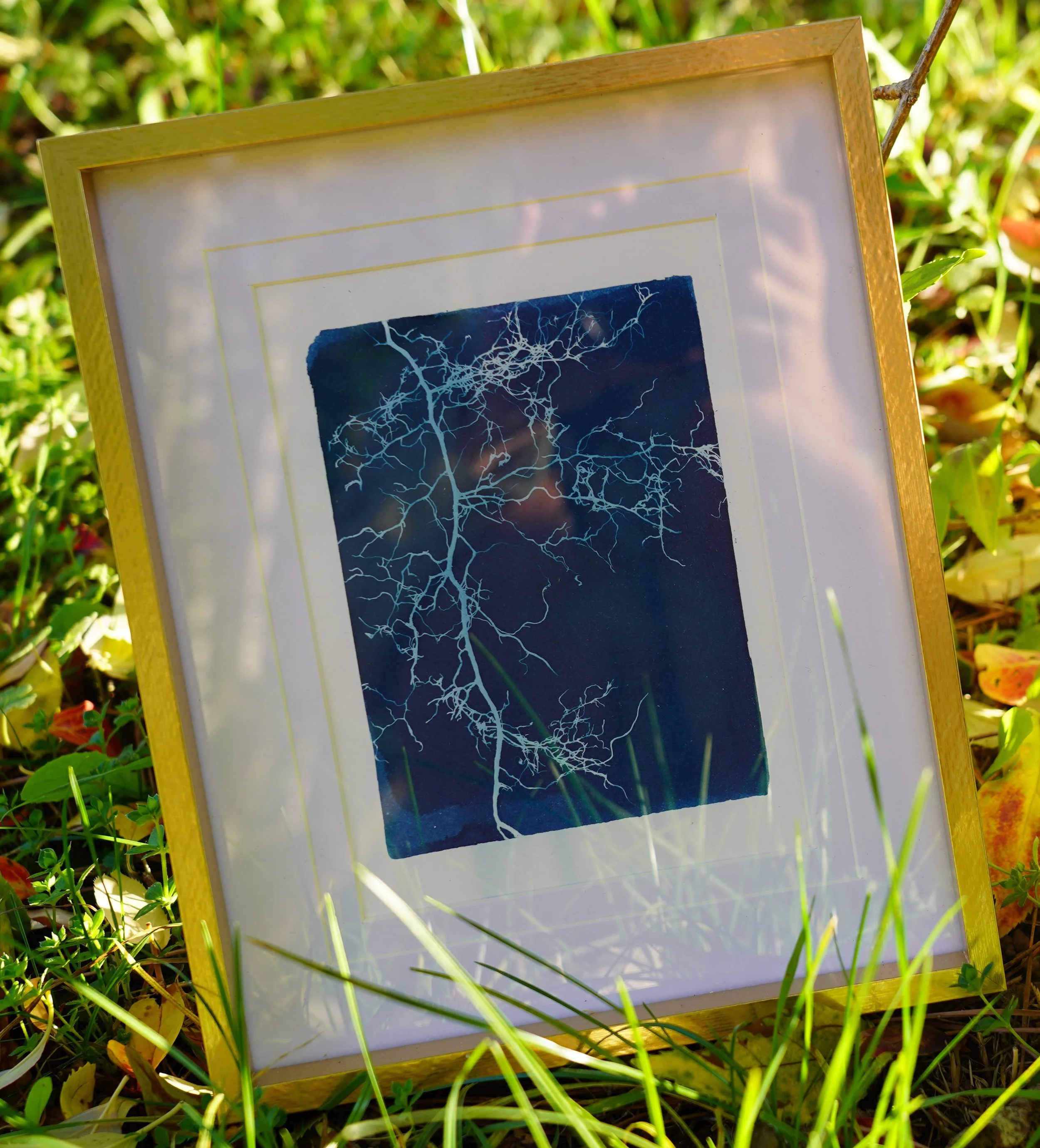 DSC01768 - Copie.JPG