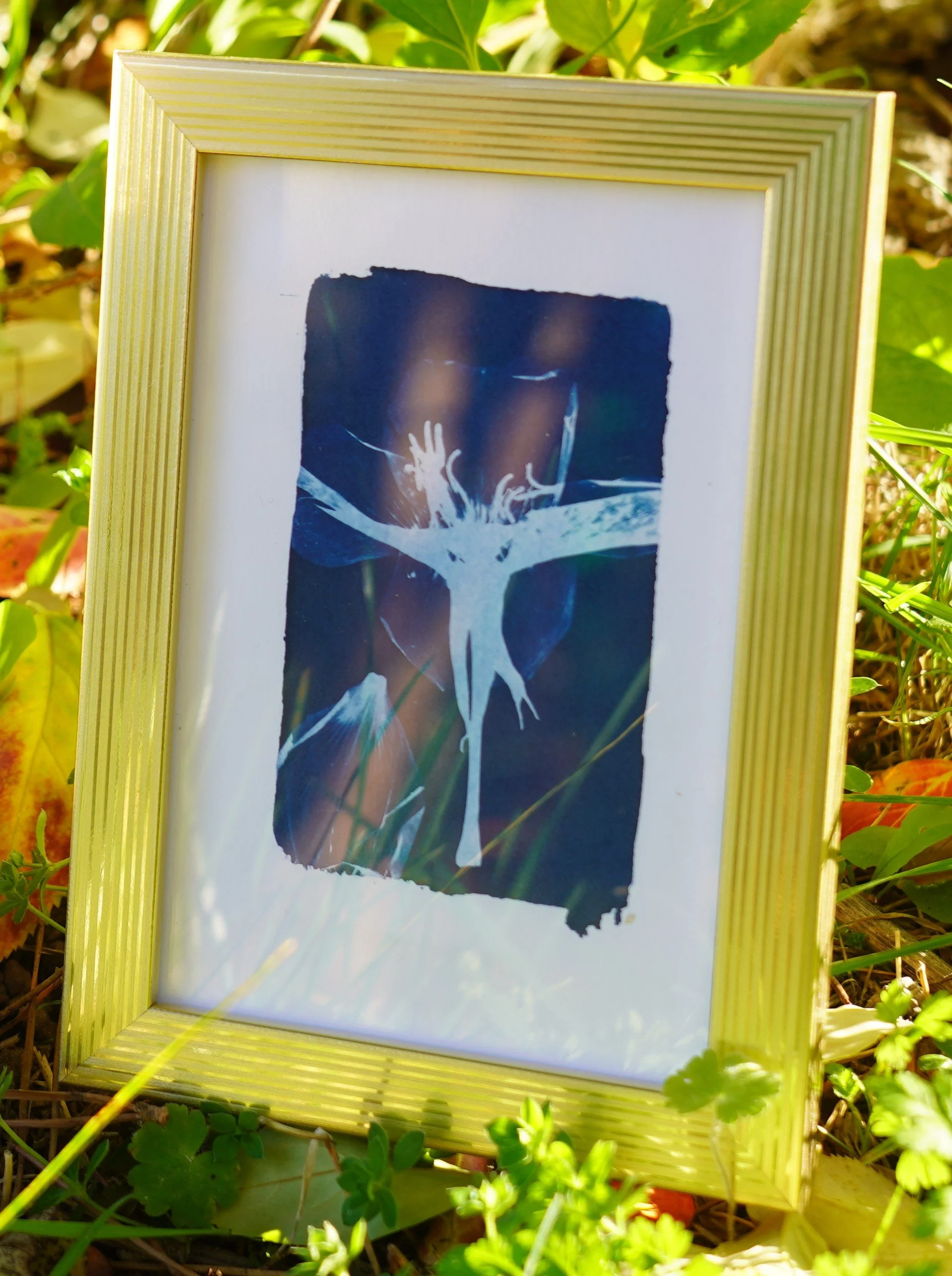 DSC01768 - Copie - Copie.JPG