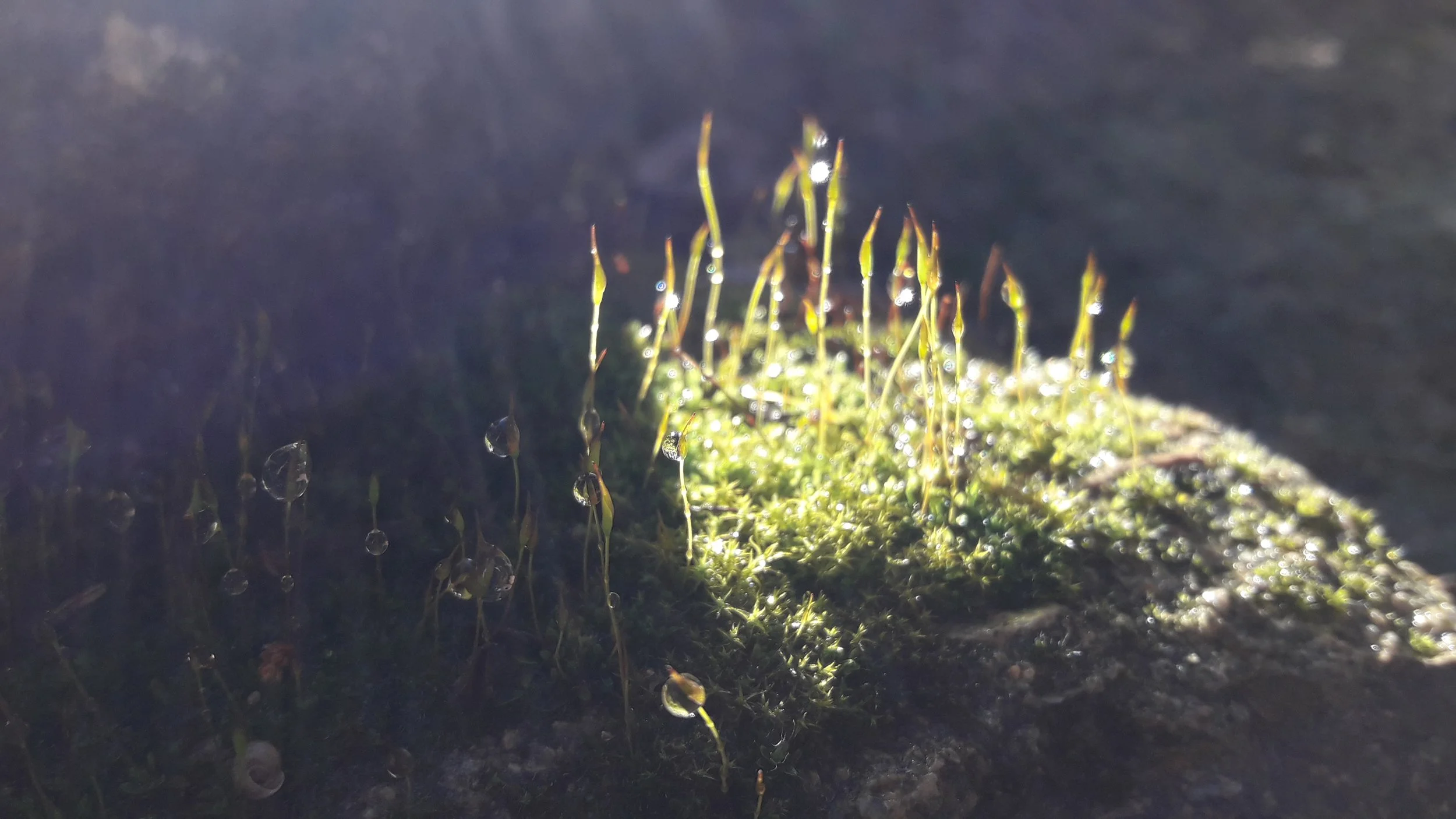20230311_161423.jpg