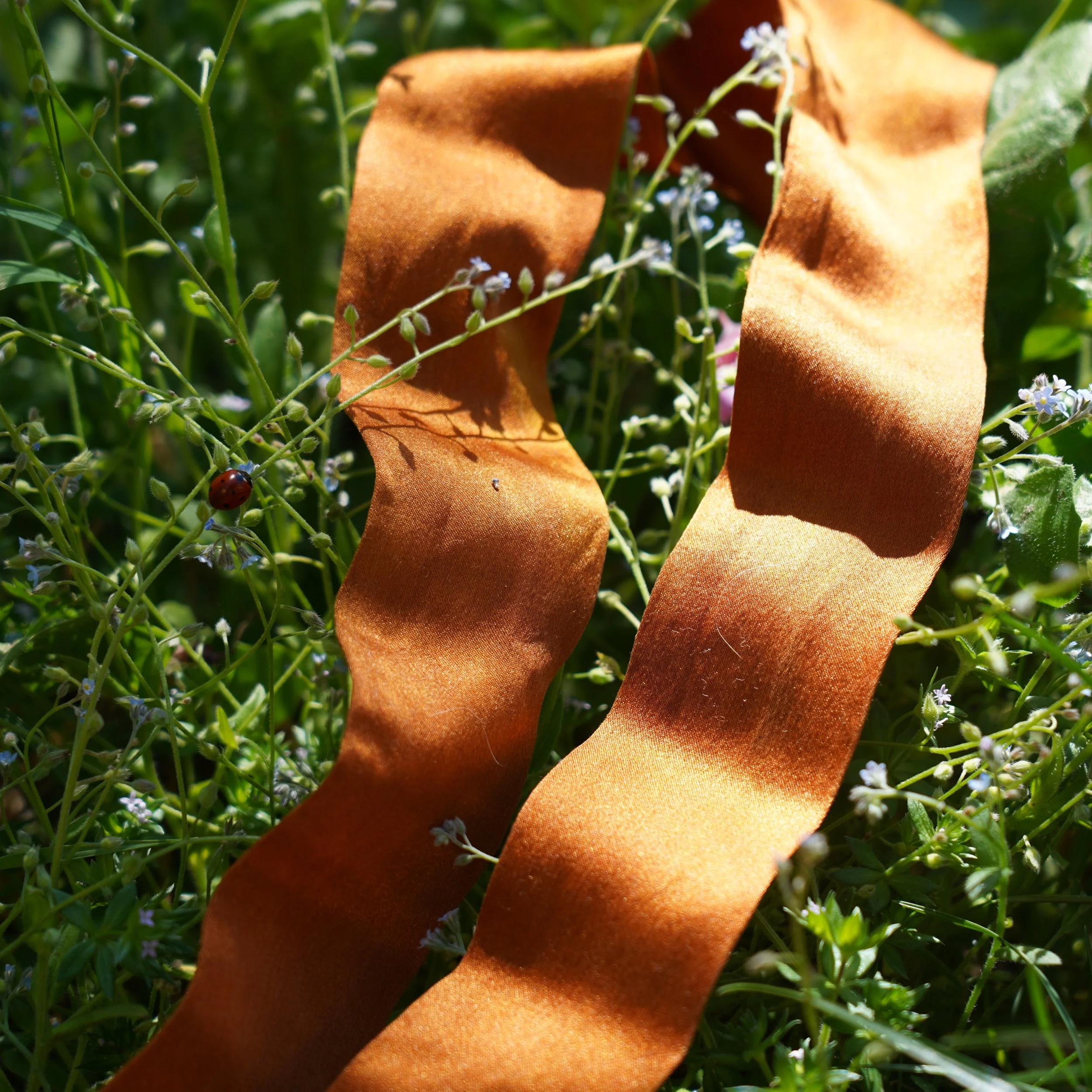 Ruban de soie bio · teinture végétale