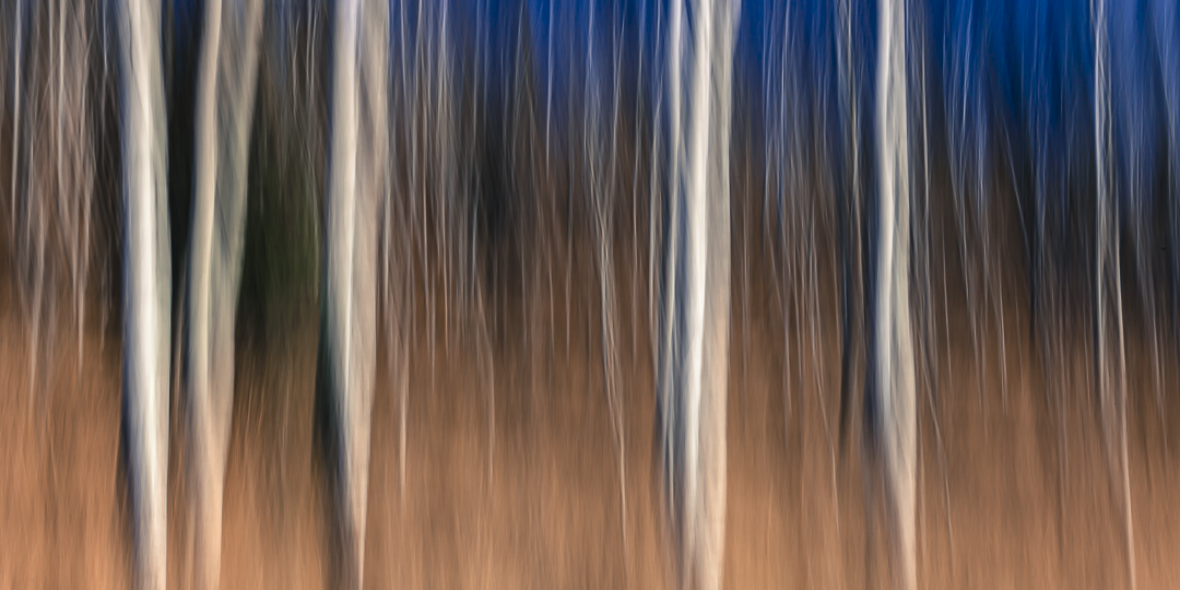 untitled-8456.png