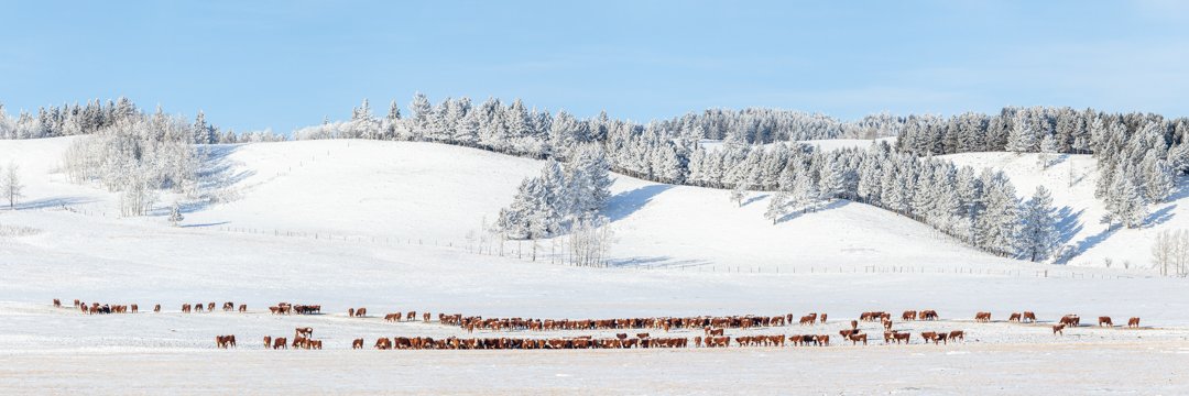 untitled-0031.jpg