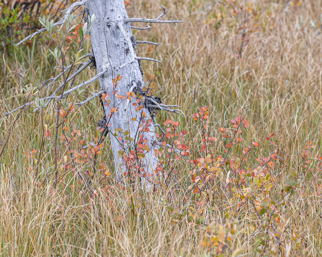 untitled-0109-Edit.png