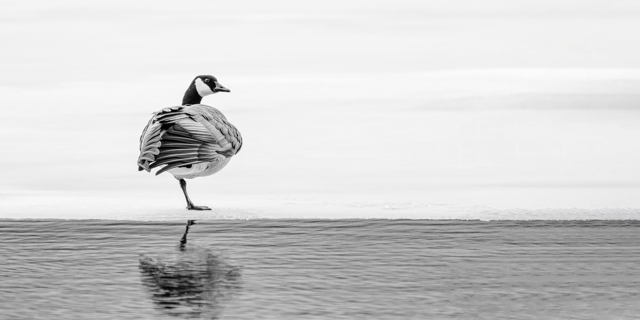 untitled-9244BW.jpg