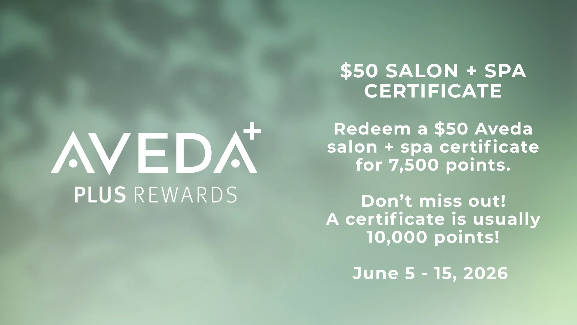 Calling all Aveda Plus Rewards Members!! 

$50 SALON + SPA CERTIFICATE SPECIAL

Redeem a $50 Aveda salon + spa certificate for 7,500 points.

Don&rsquo;t miss out! A certificate is usually 10,000 points!

June 5 - 15, 2026 

Login into your A+ Reward