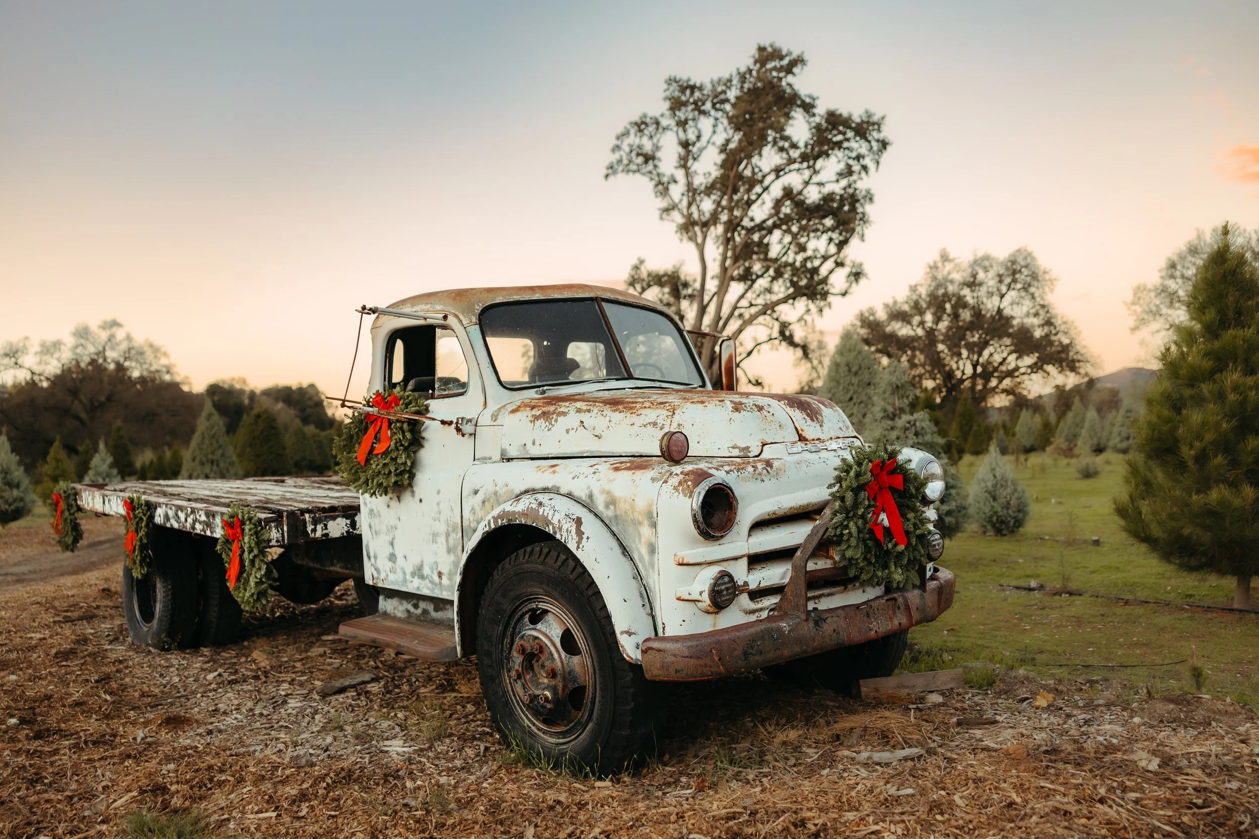 SRR Truck 2025-2.jpg