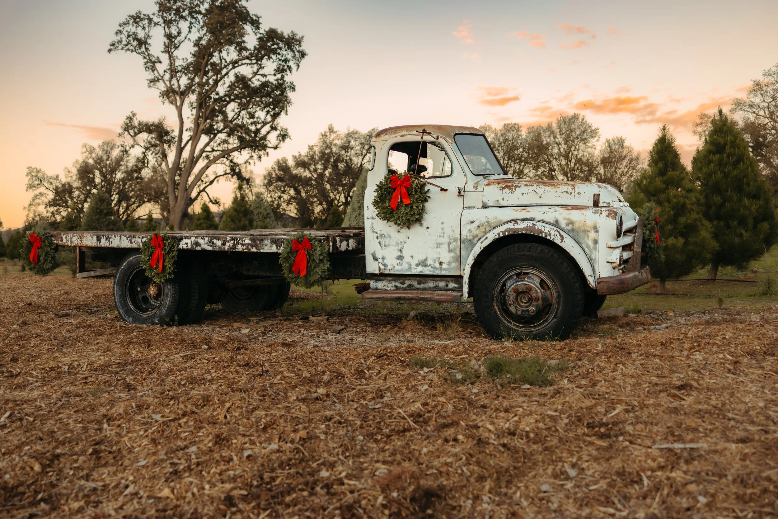 SRR Truck 2025-1.jpg