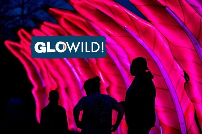 Little Rock Zoo Presents Glo Wild