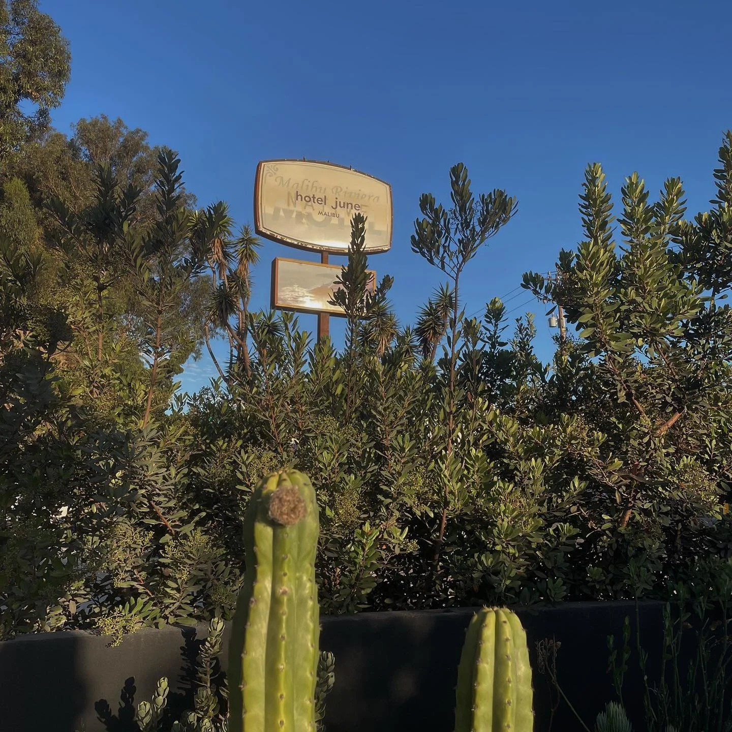 Hotel June is a place that feels familiar, like something from a distant memory. I used to drive past when it was still the Malibu Riviera, and it always caught my eye, sitting quietly along the coast. It made my mind wander&mdash;what stories could 