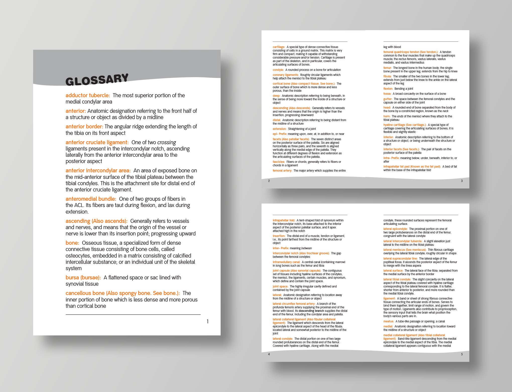 brochure_glossary.jpg