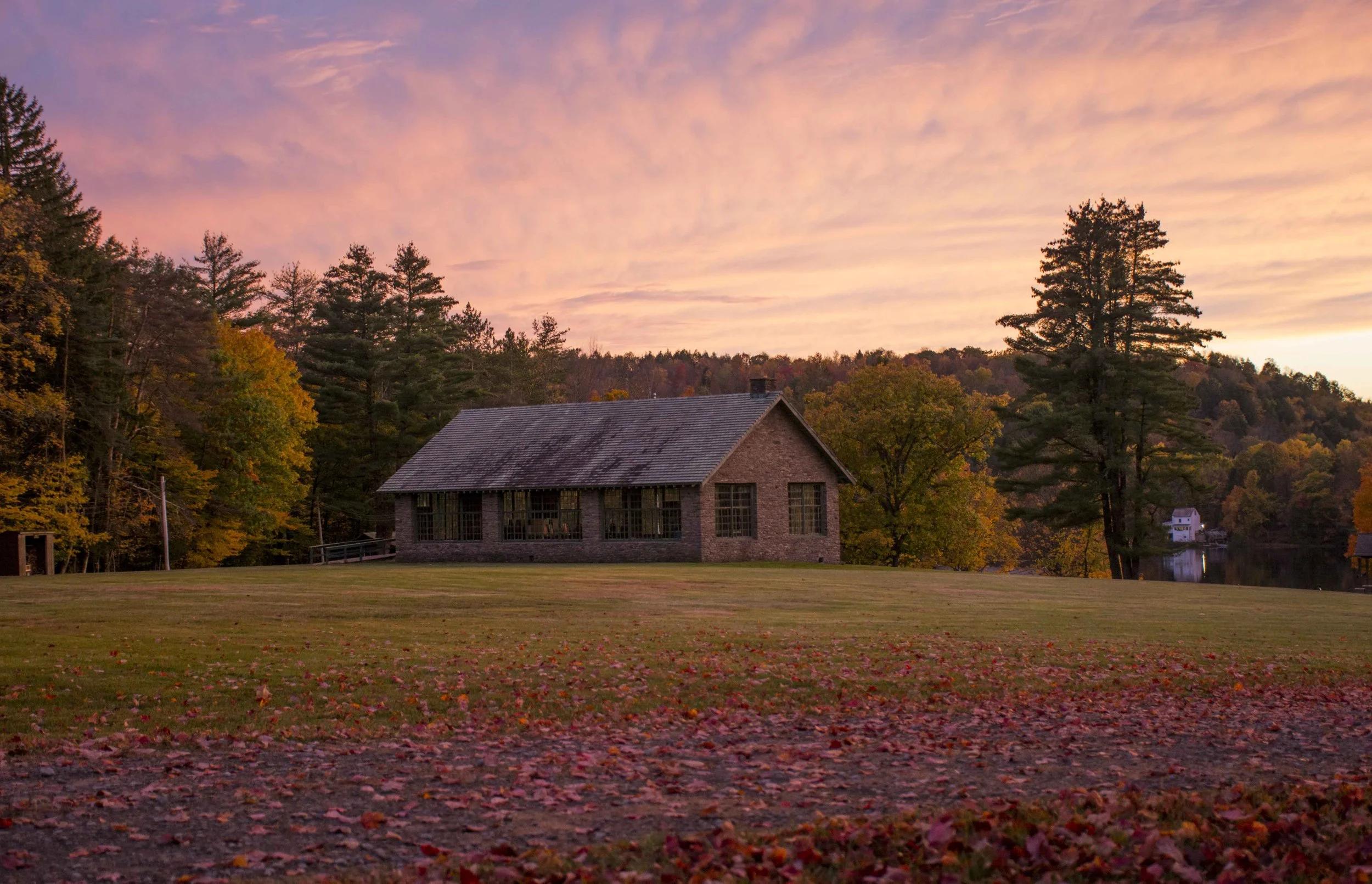Schooney Sunset.jpg