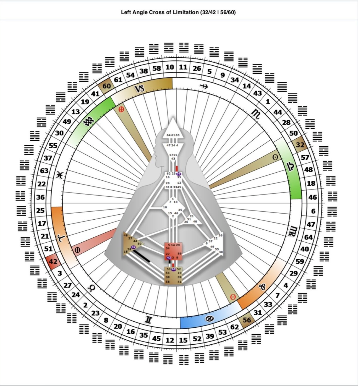 HUMAN DESIGN 101: The Basics of Human Design