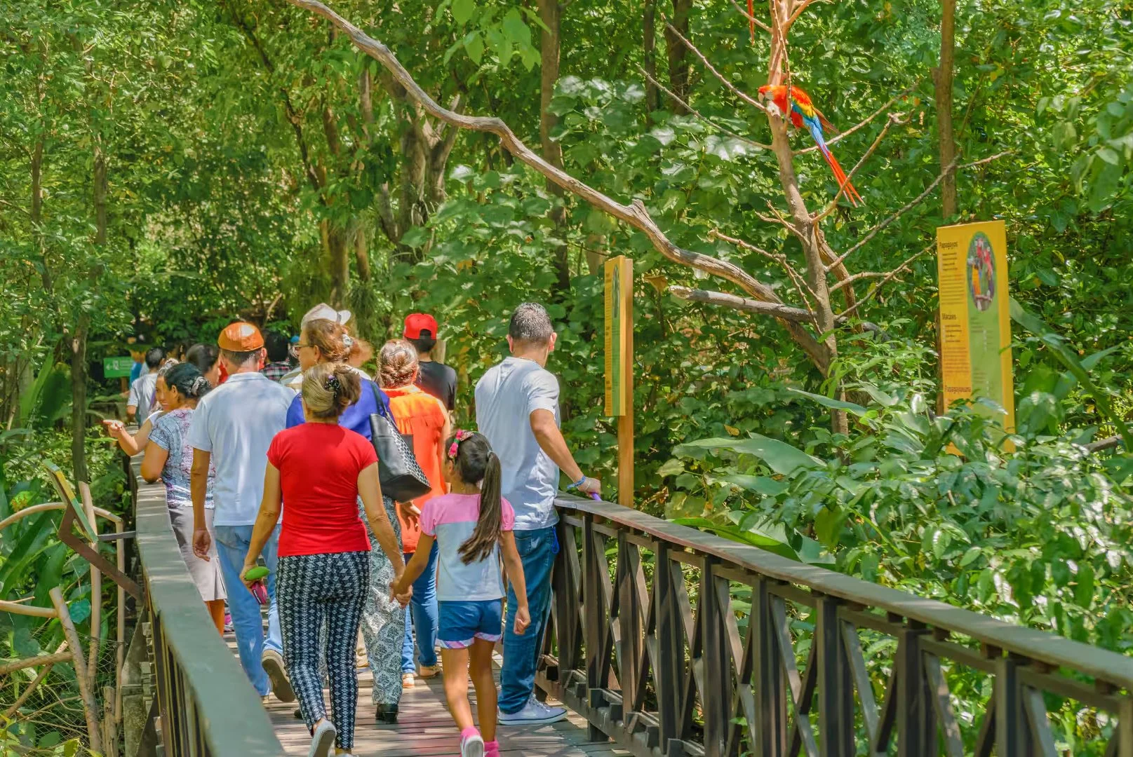 Making Memories with Children Experiencing Foster Care