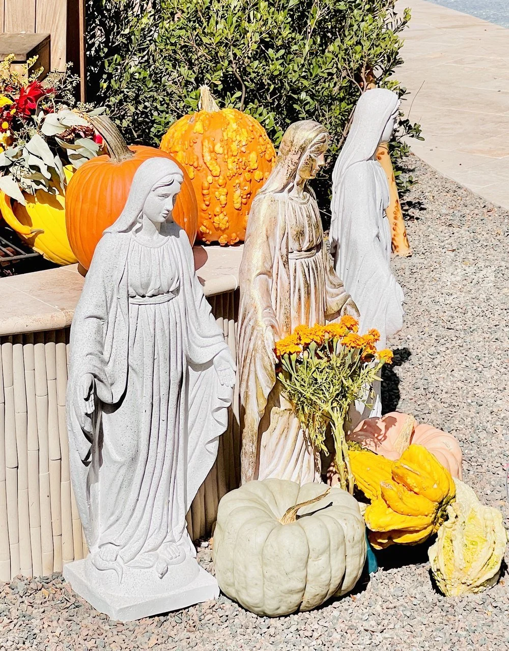 MagdalenaActivation1.1.JPG