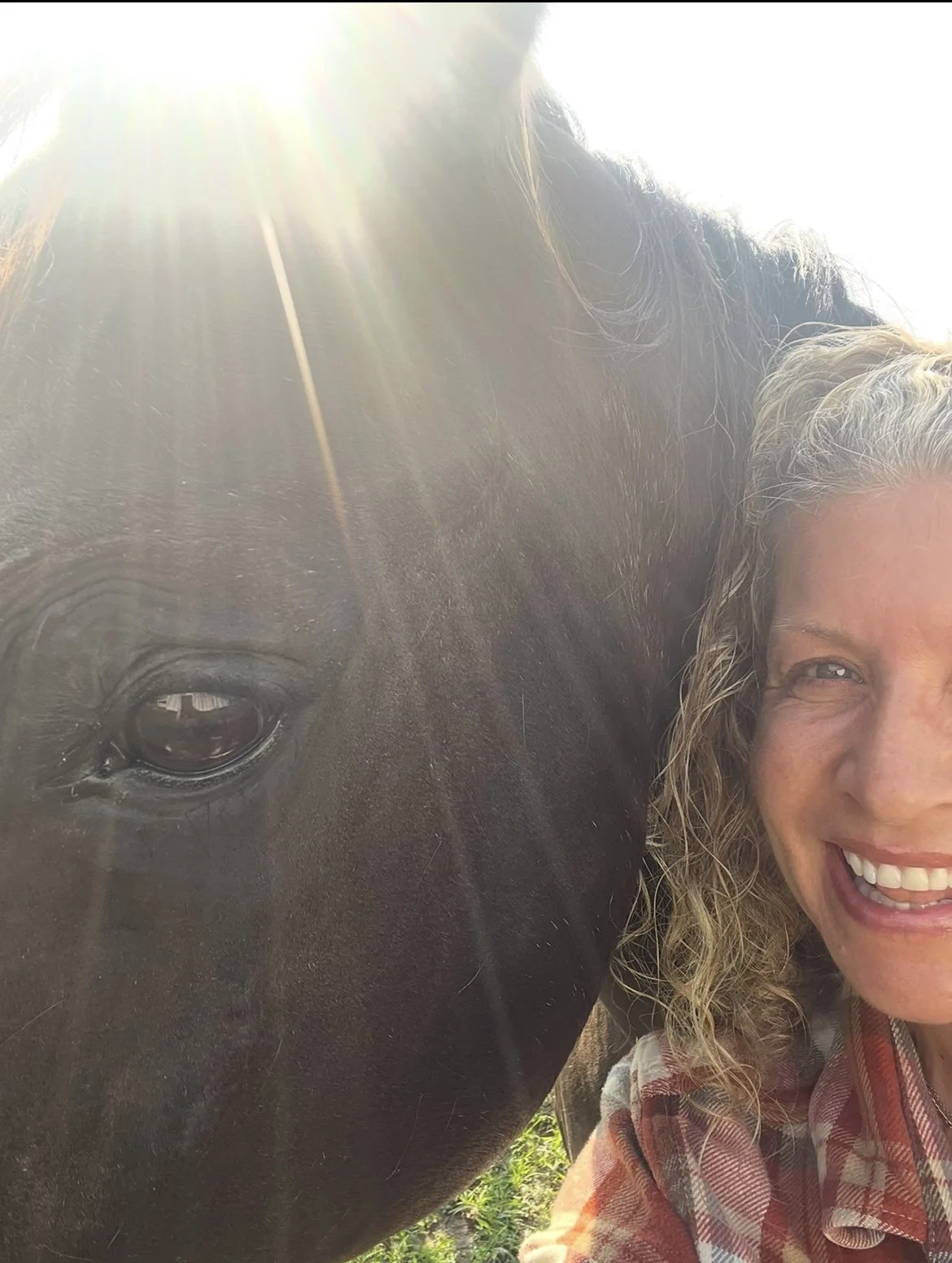 Jamie-Horse-Sun-Closeup.jpg