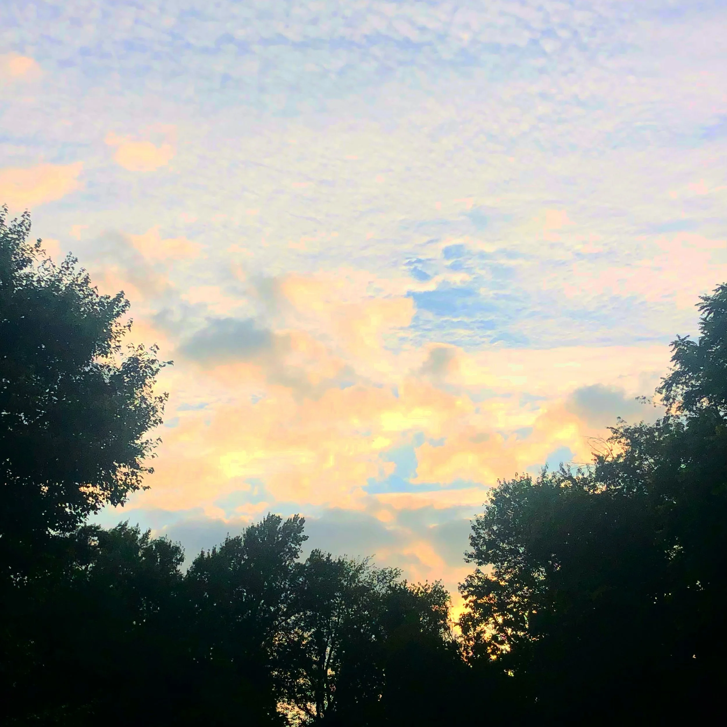 SkyscapeSunnywithCoulds.JPG