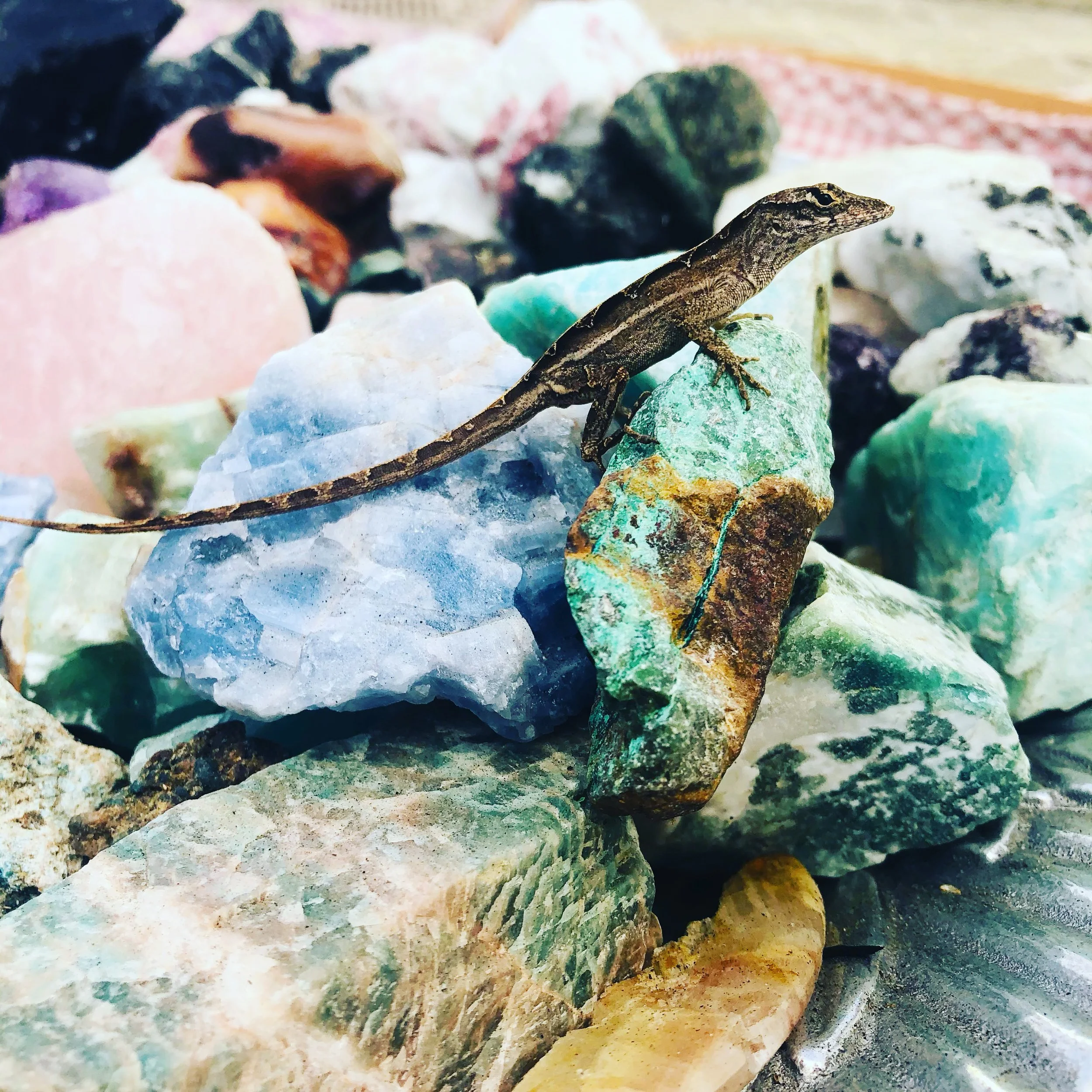 Crystals1.JPG