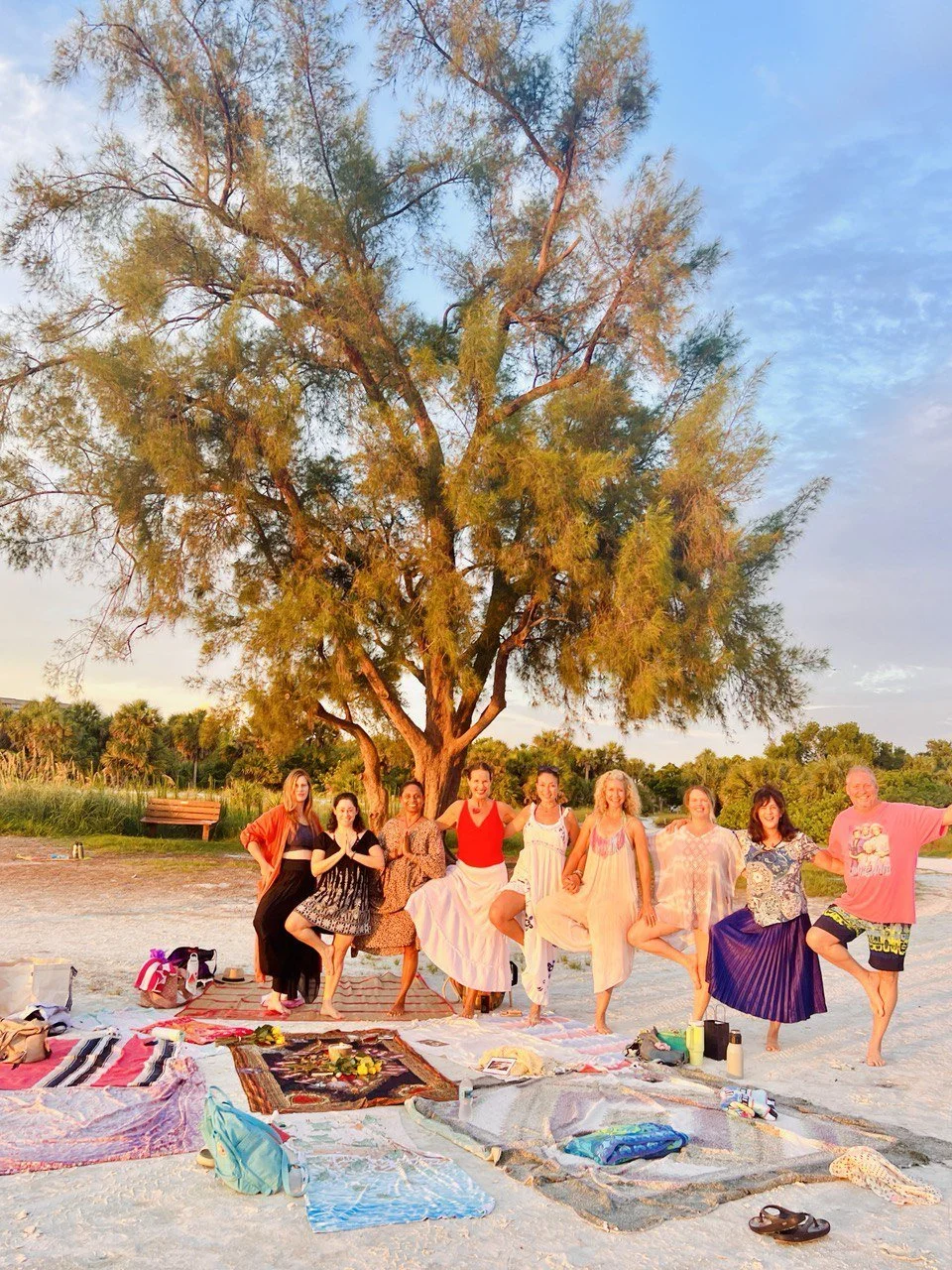 GrandMotherTreeonSiestaBeach.JPG