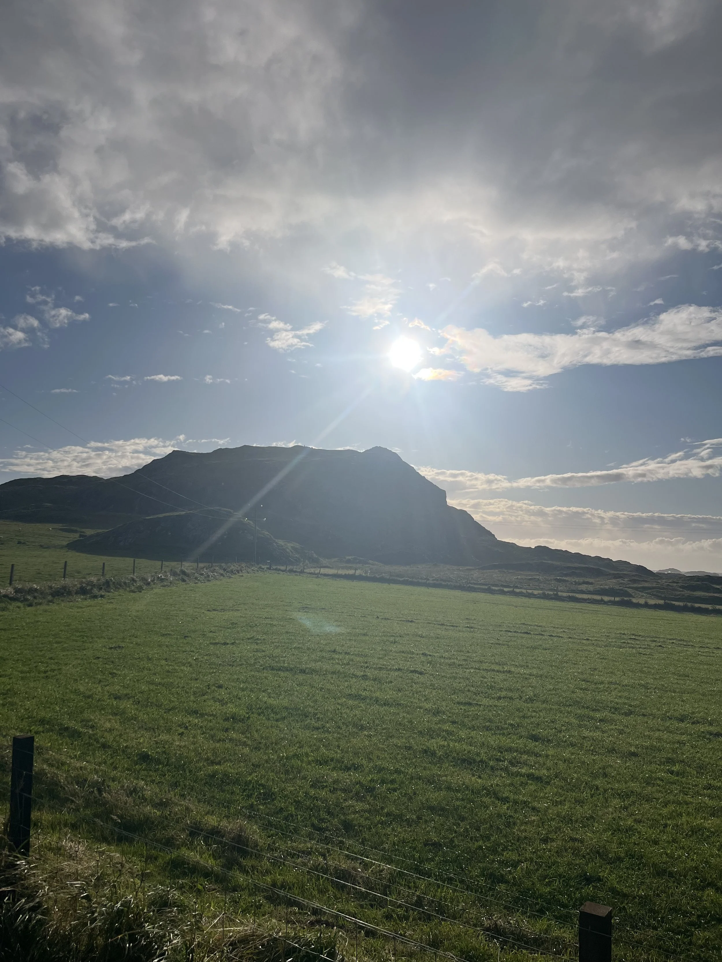 IMG_5586.jpeg