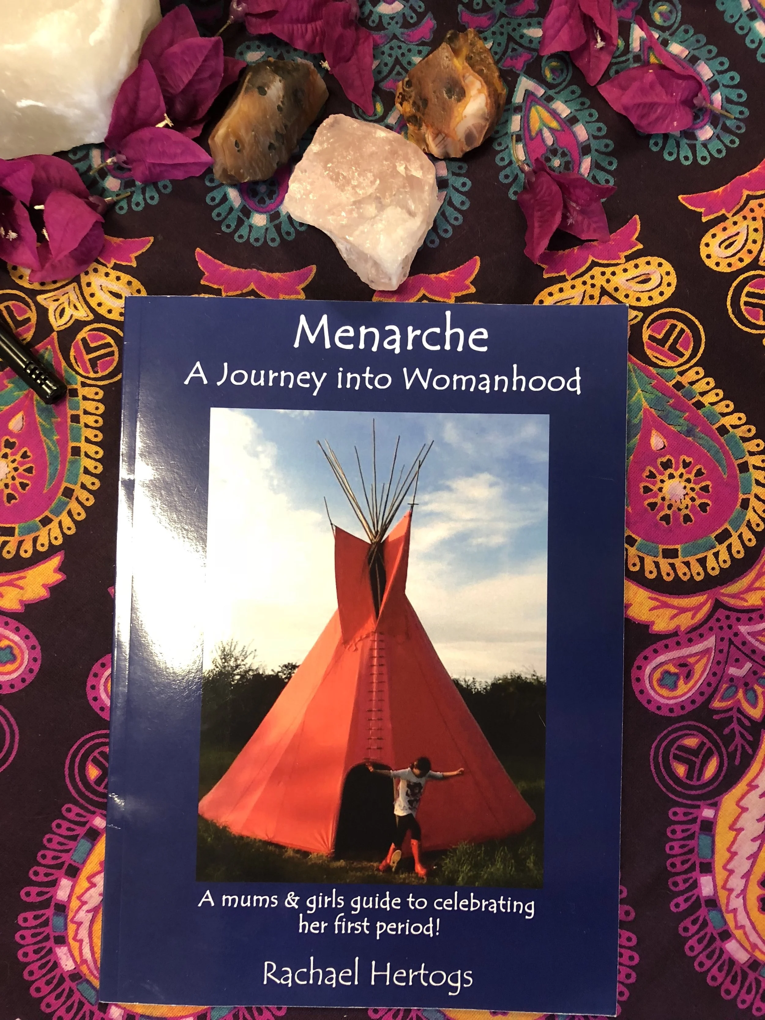 DmYoniversity101Book_Menarche.jpg