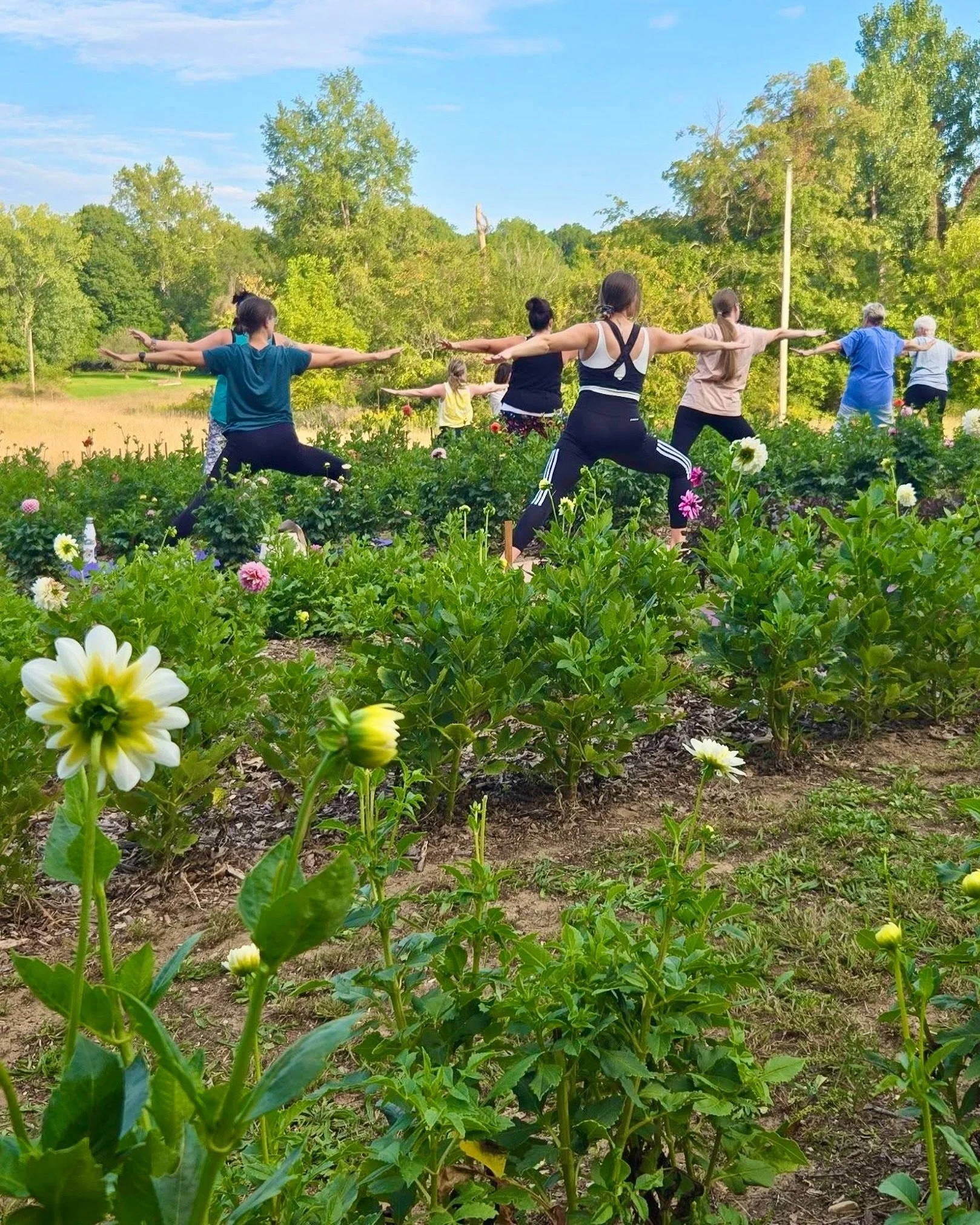 EDIT: This event has been rescheduled to Sept 9th 6pm!

Outdoor practice has a certain magic to it. 

Savor these last moments of summer with us at @greenwillowgardens in Lawrence for our Yoga in Bloom session among the rows of blooming flowers.

Lea