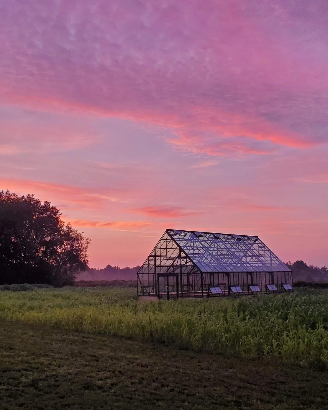 Special event coming at 'cha Sunday October 18th. You really won't want to miss this. 

We'll be @mojomeadowsmi  in Paw Paw, inside their beautiful glass greenhouse, where we'll be able to watch the sunset while we are joined by a live Cellist playin