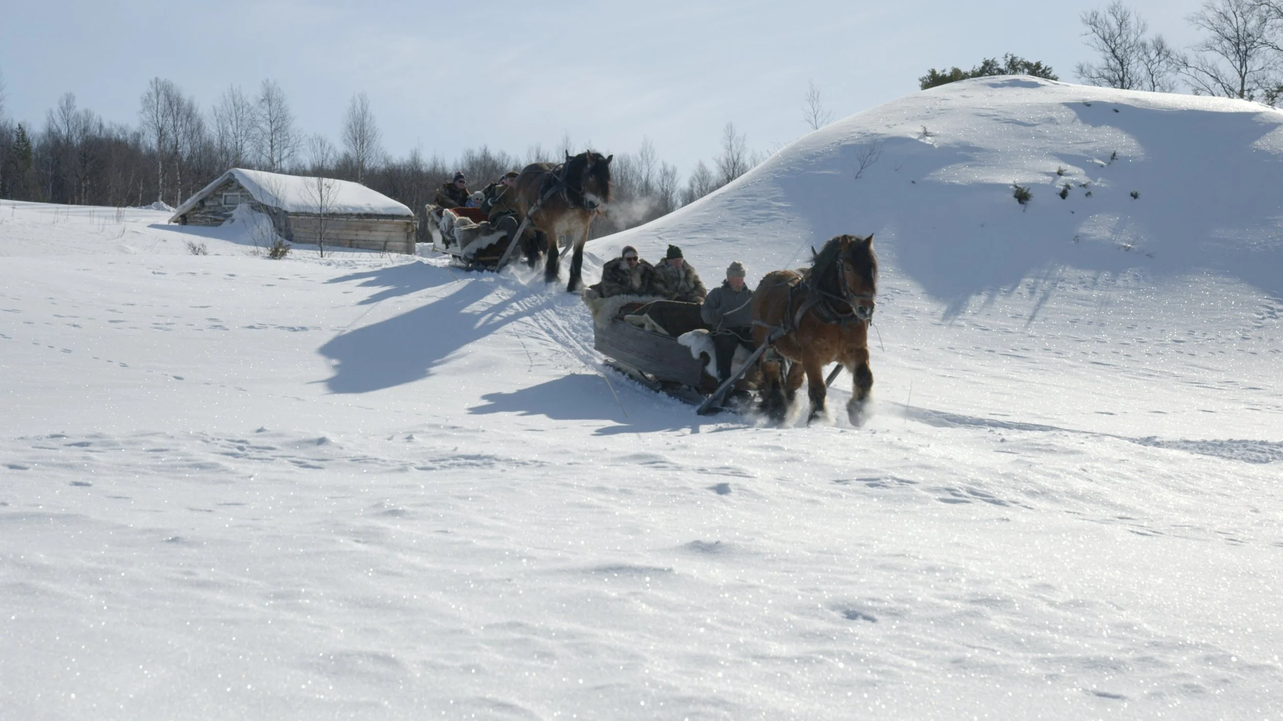 Over Rørosvidda med hest og slede.