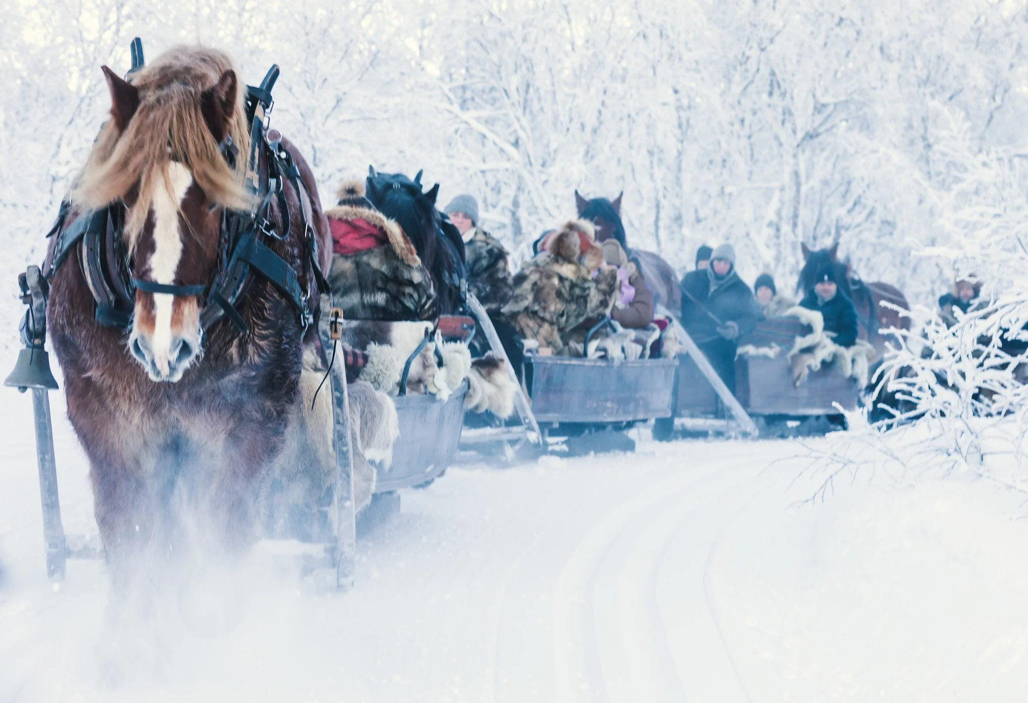 Ønsk forbønder velkommen og nyt forbondemiddag!