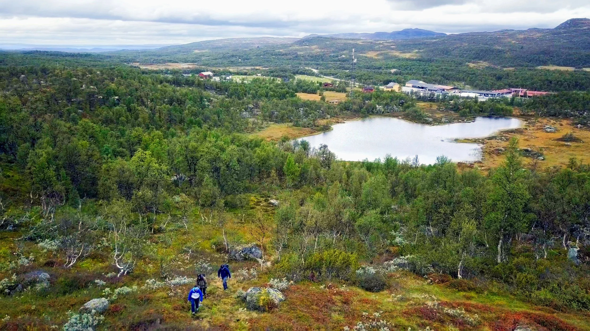 En hestevogn med passasjerer kjører gjennom snølandskap med vinterkledd skog og fjell i bakgrunnen.