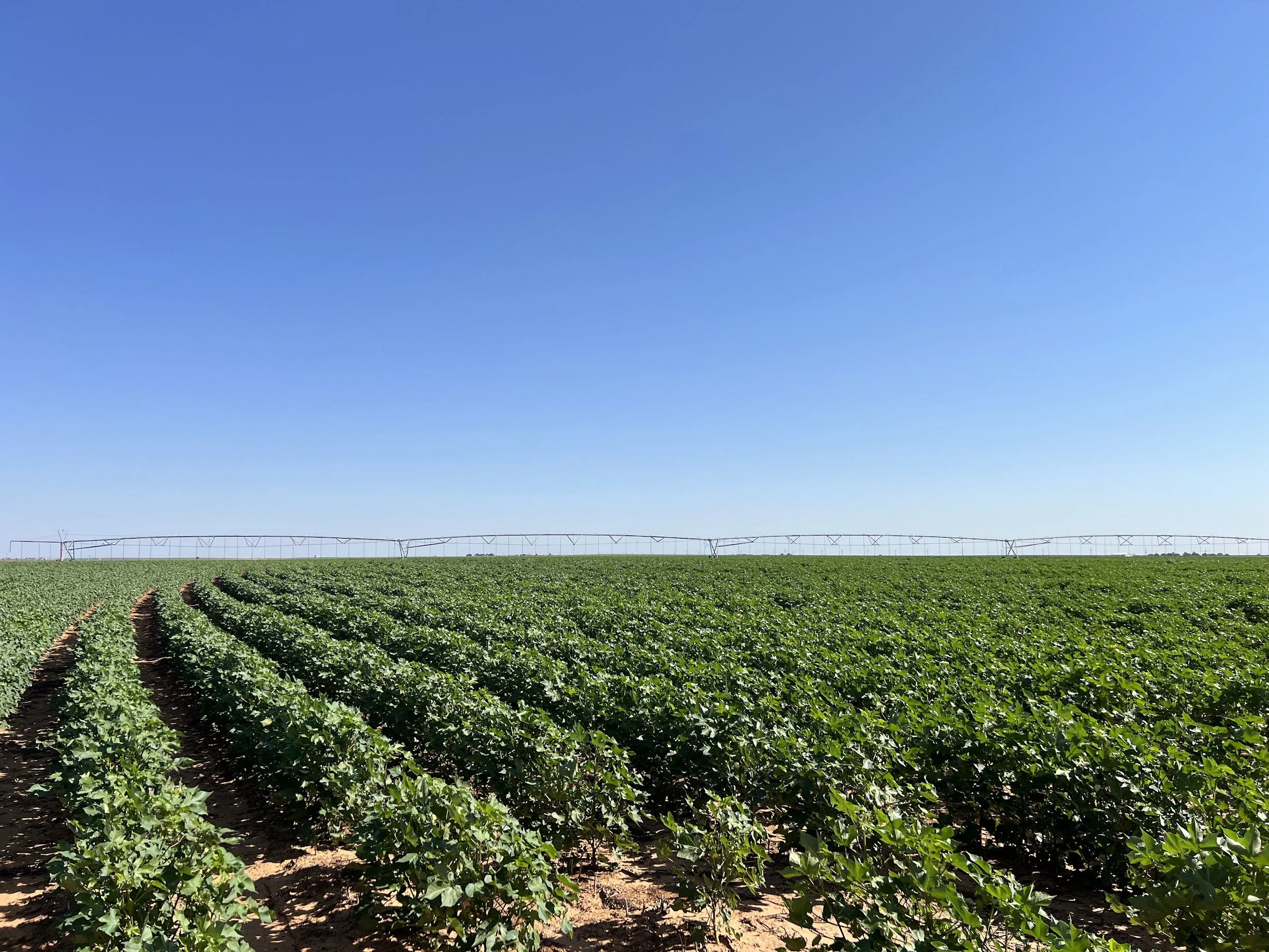 Resilient Cropping Systems Tour