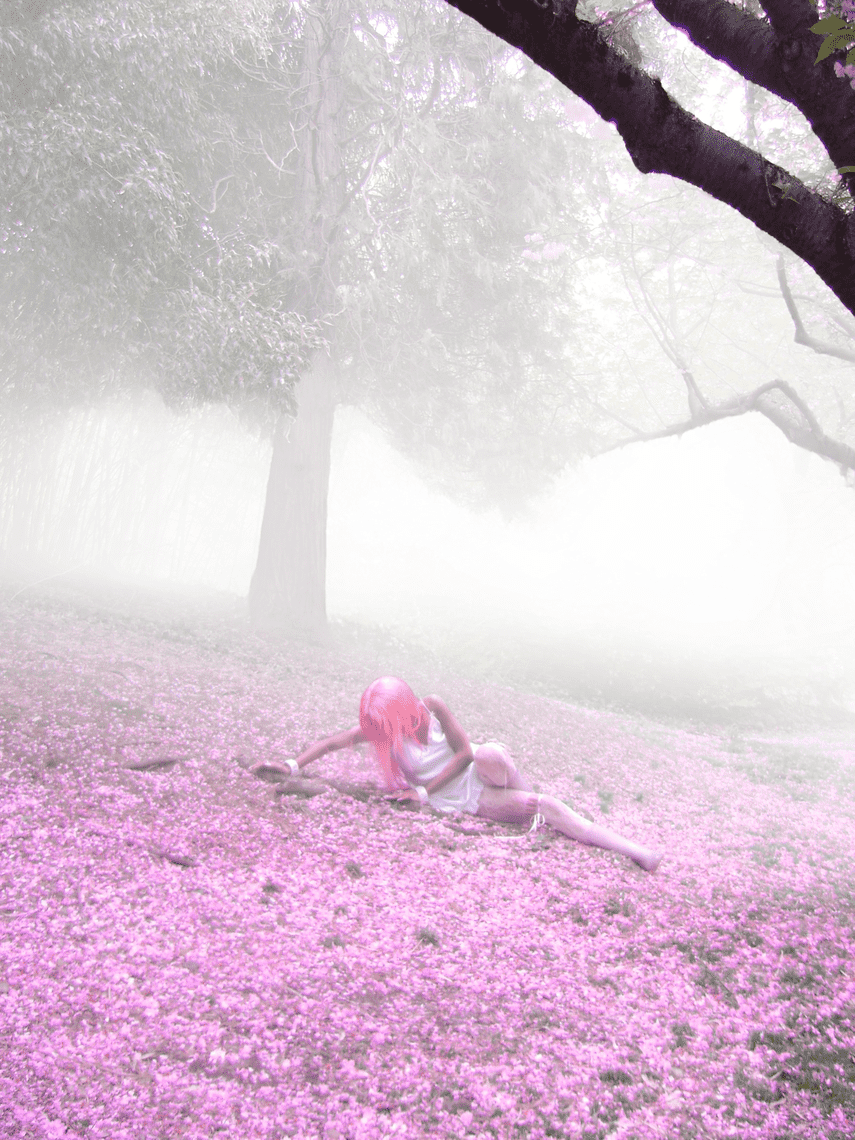 Skylar Caeles Sakura, Brooklyn Botanic Garden, Photo by Yun Mago Interview for CC Magazine