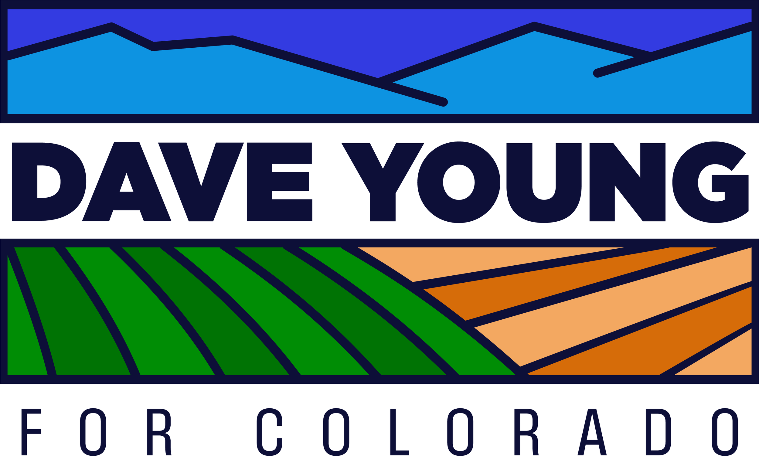 Dave Young for Colorado logo